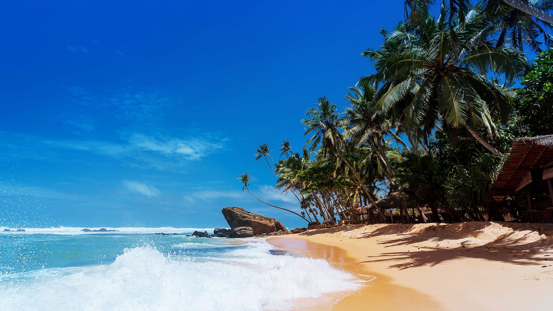Wallpaper Tropical beach, sea waves, palm trees