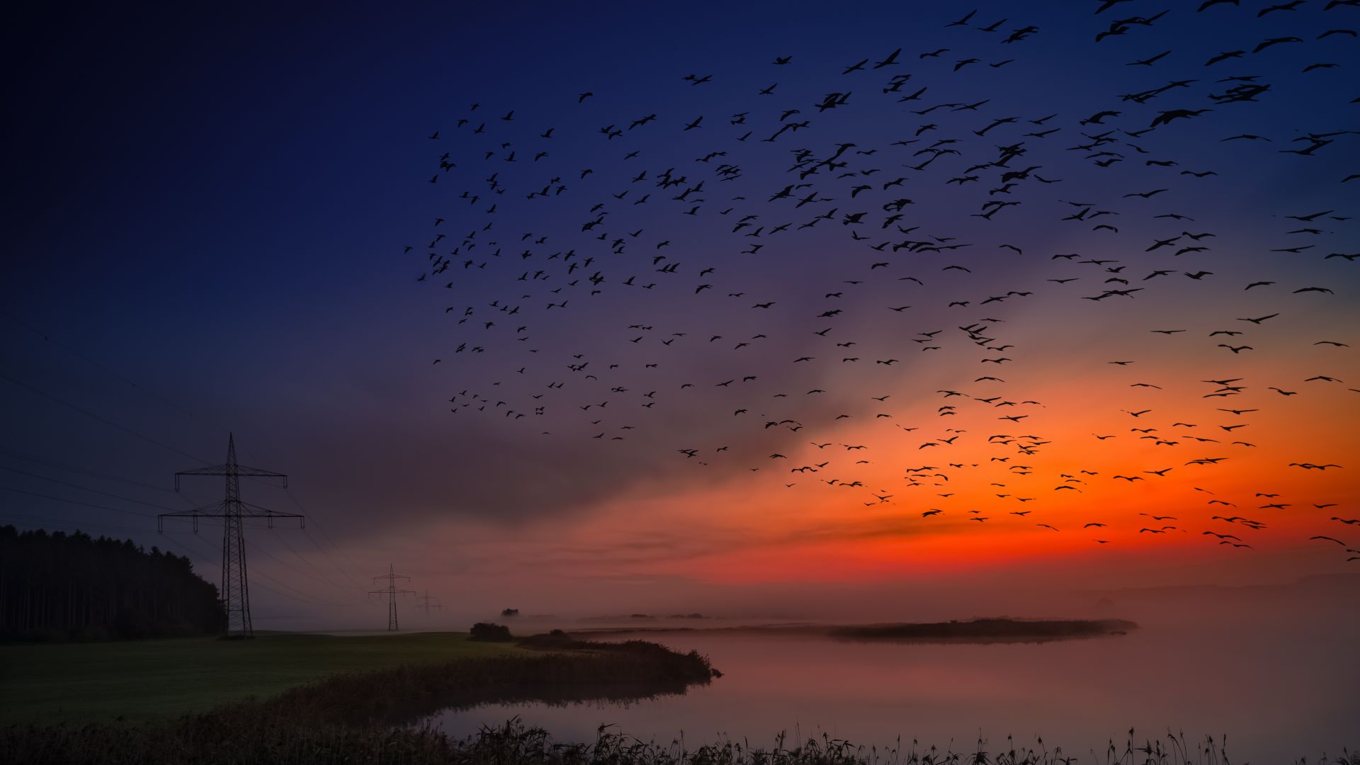 Wallpaper Sunset, birds, sky, coast, 5k