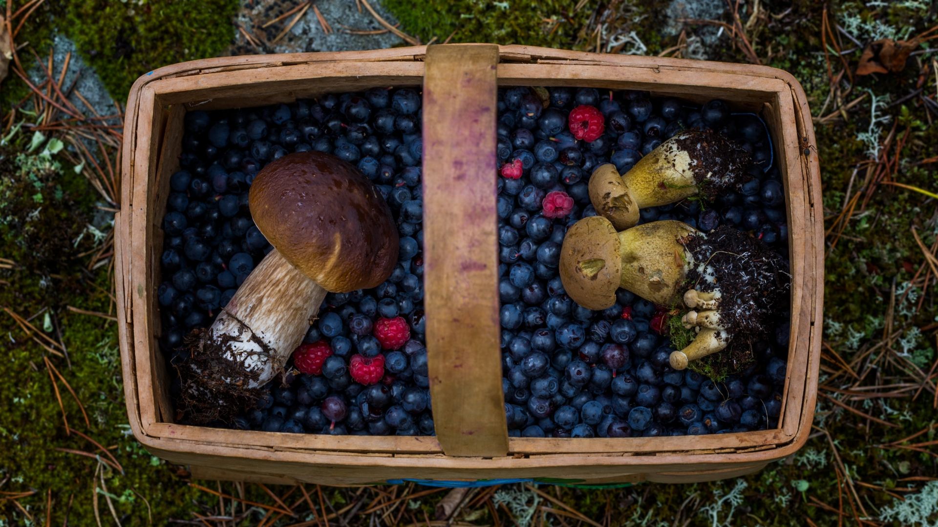 Wallpaper Berries, blueberries, basket, mushroom