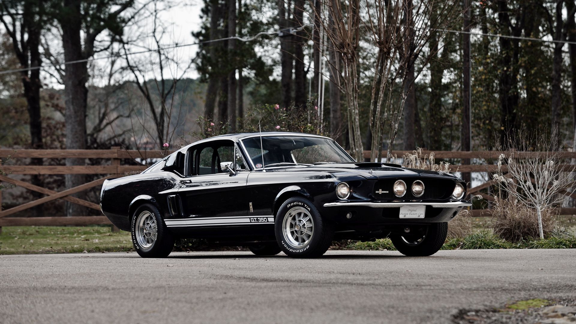 Wallpaper Black, Ford Mustang Shelby GT350, muscle car