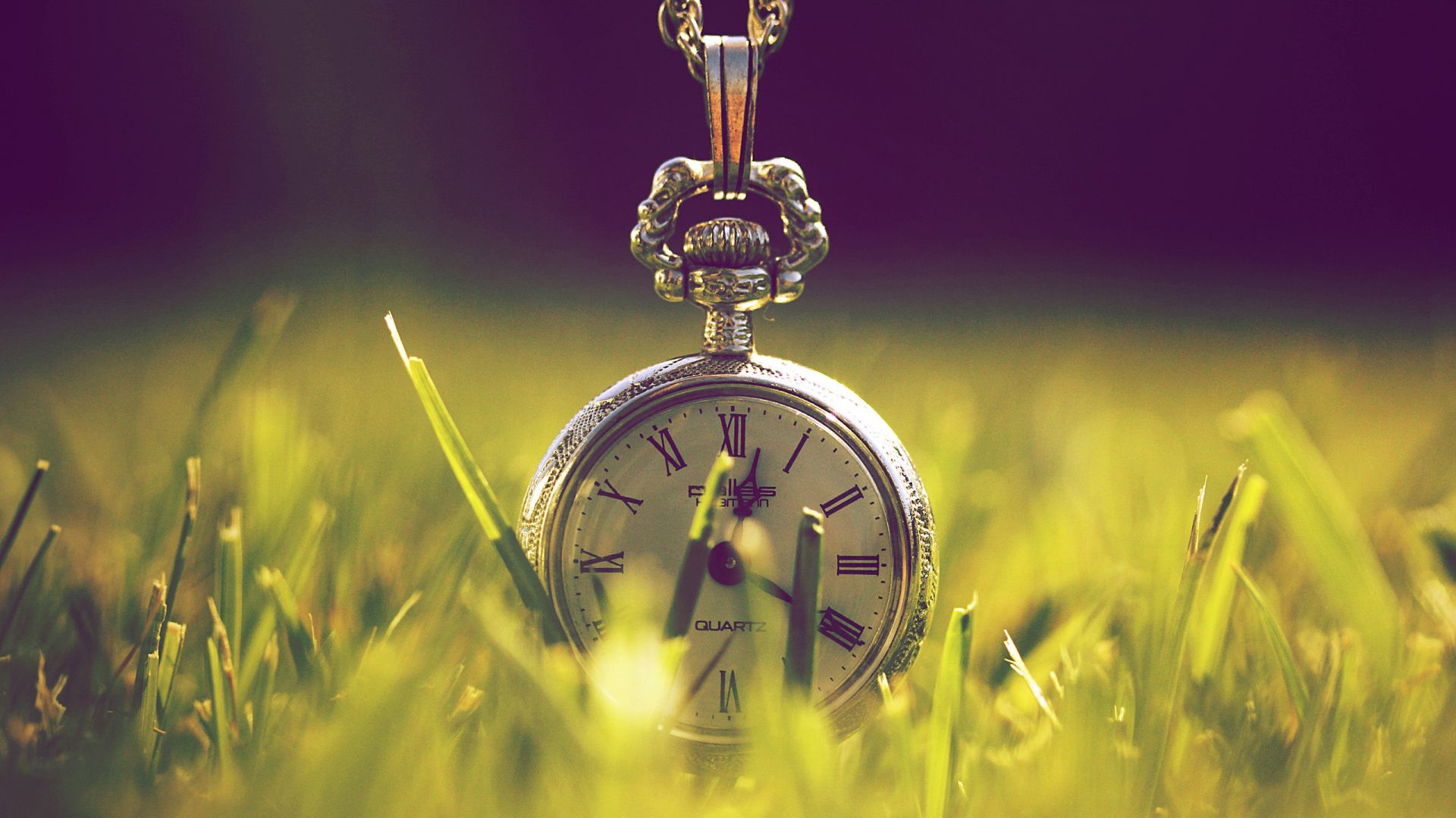 Wallpaper Old clock in grass