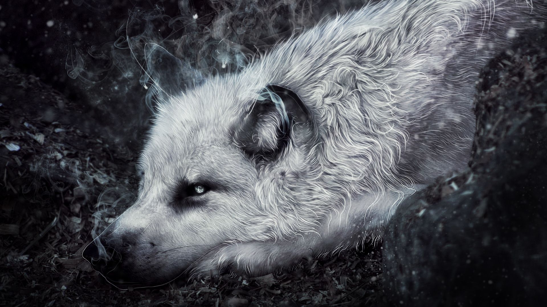 Wallpaper White wolf, art, muzzle, 4k