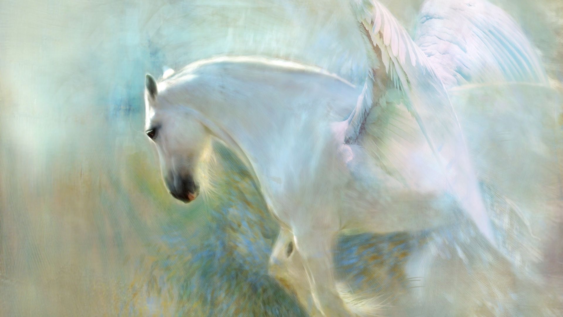 Wallpaper Pegasus, white horse, art, 4k