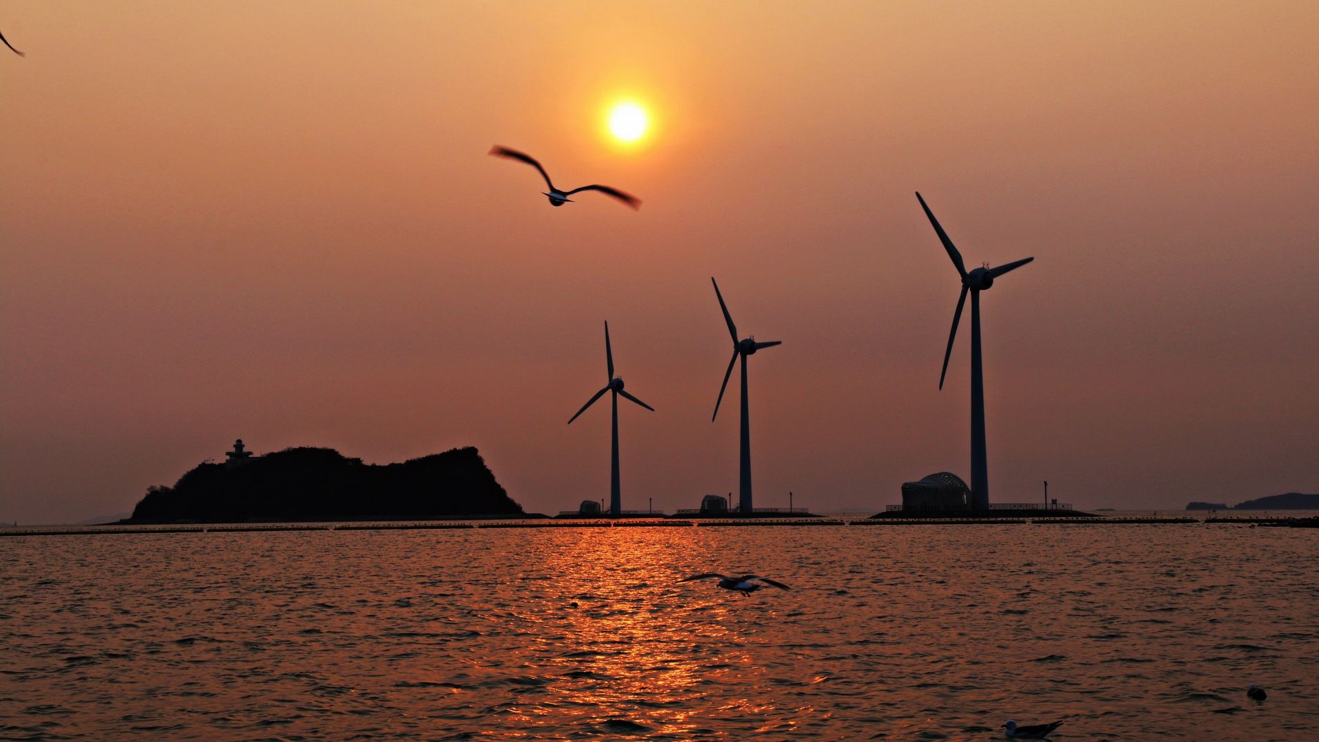 Wallpaper Sunset, turbines, windmills, coast, birds, lighthouse, 4k