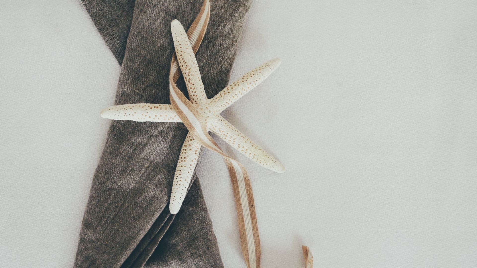 Wallpaper Starfish, ribbon, cloth