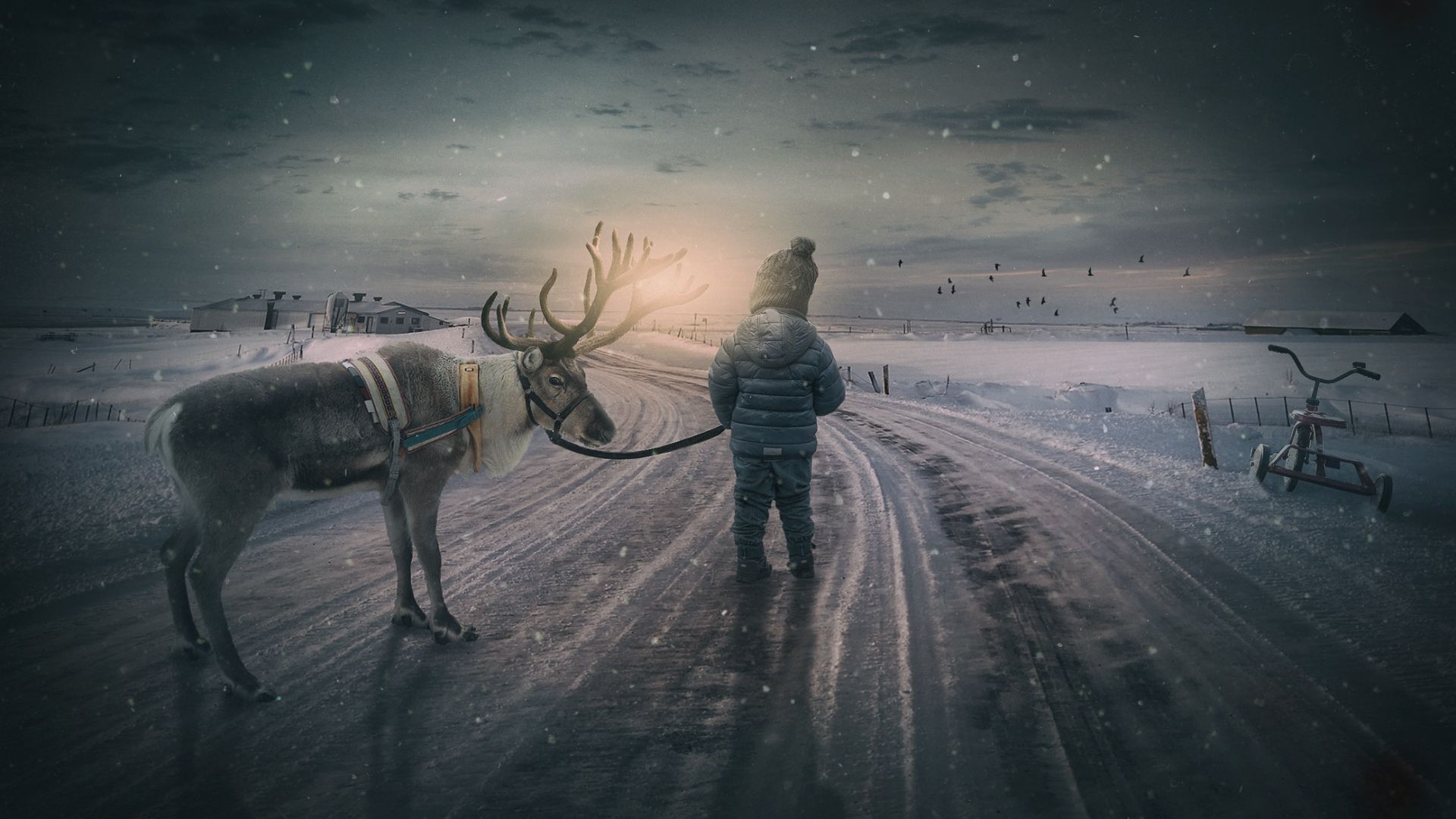 Wallpaper Wintry reindeer, boy, small child