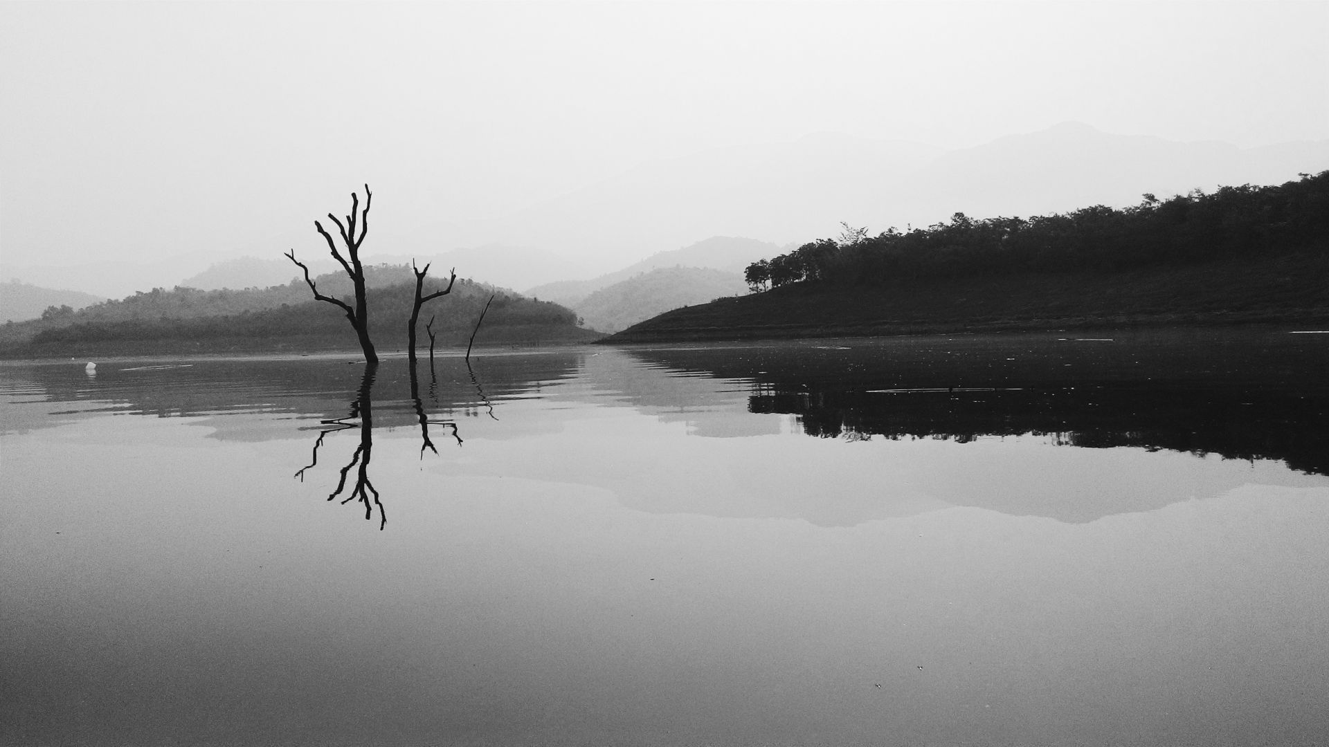 Wallpaper Lake, monochrome, reflections