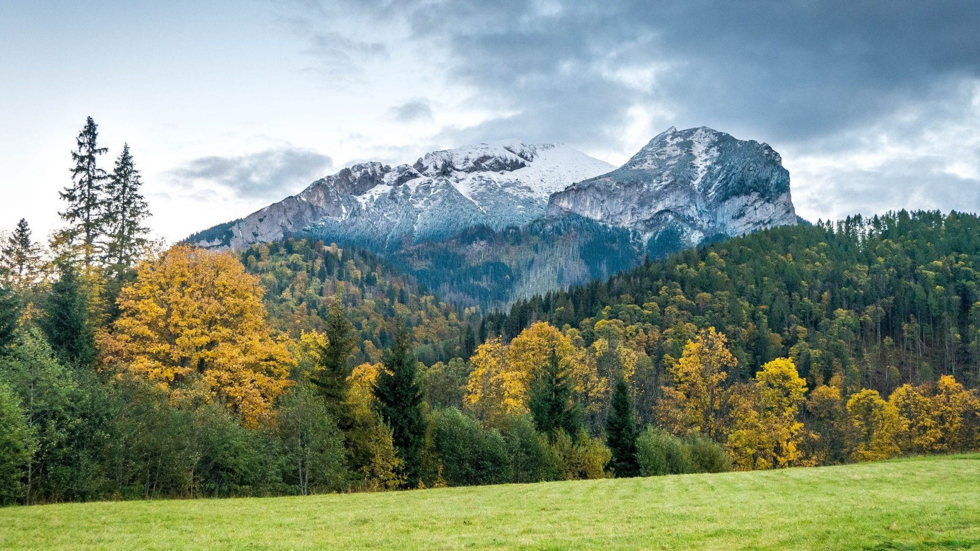 Wallpaper Belianske Tatras, mountains, tree, landscape