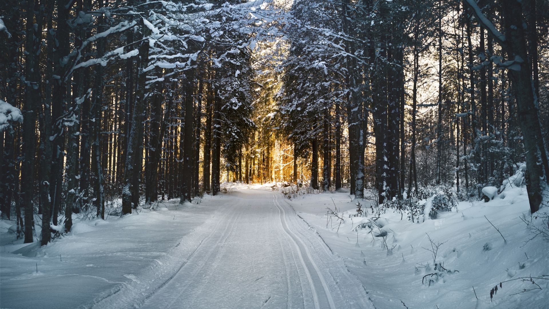 Wallpaper Winter, snow, road, trees, 5k
