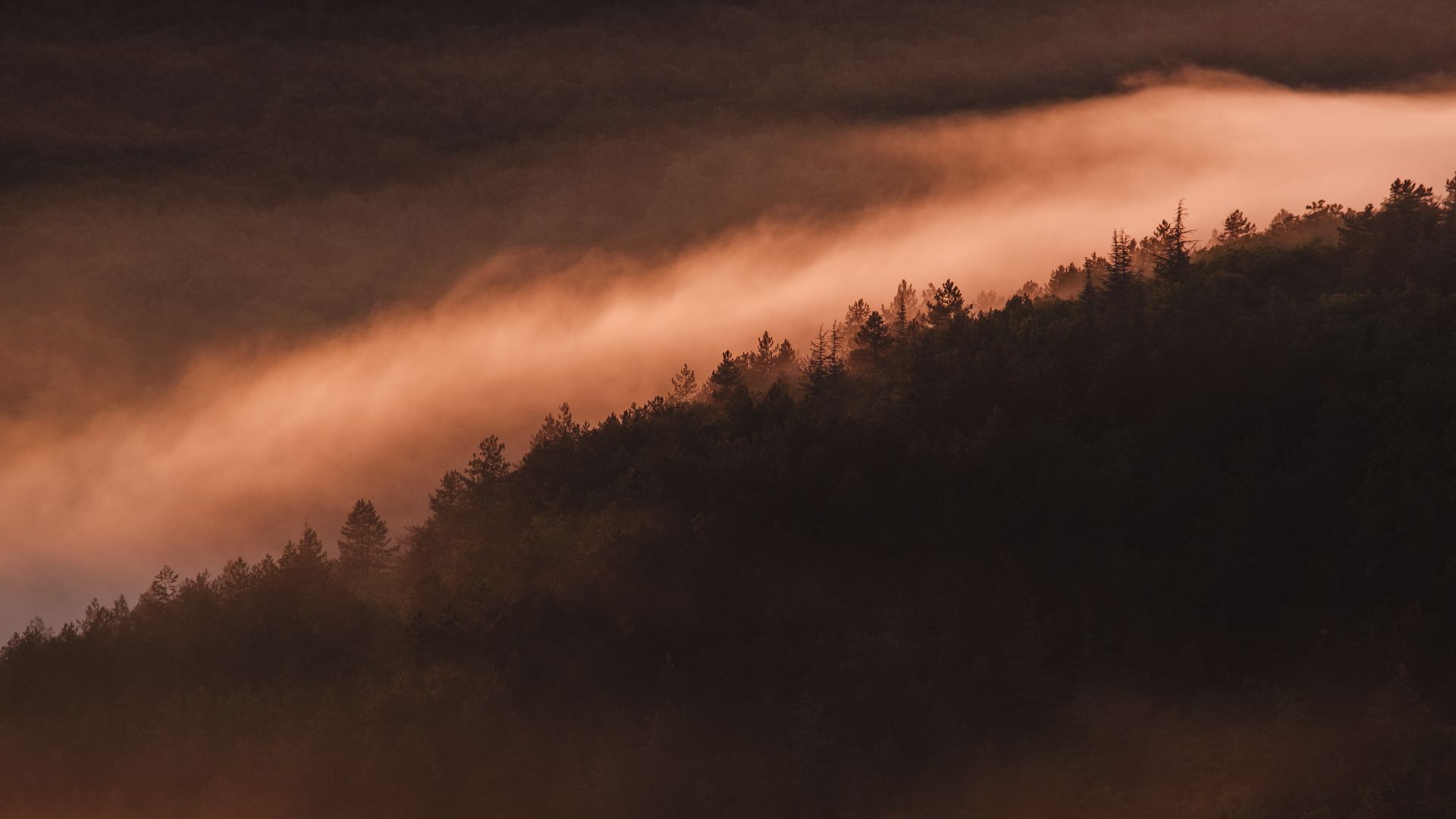 Wallpaper Sunset foggy