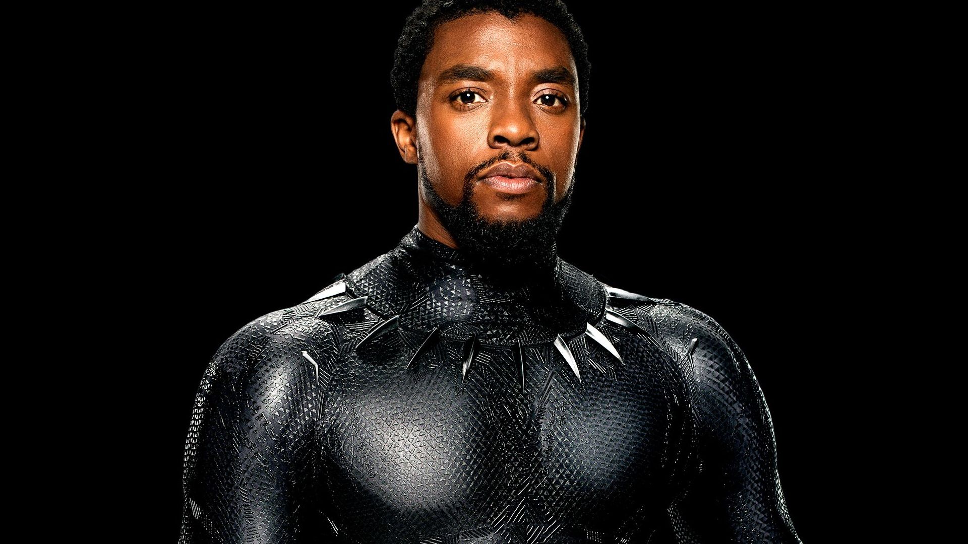 Wallpaper Chadwick Boseman, Black Panther, superhero, movie