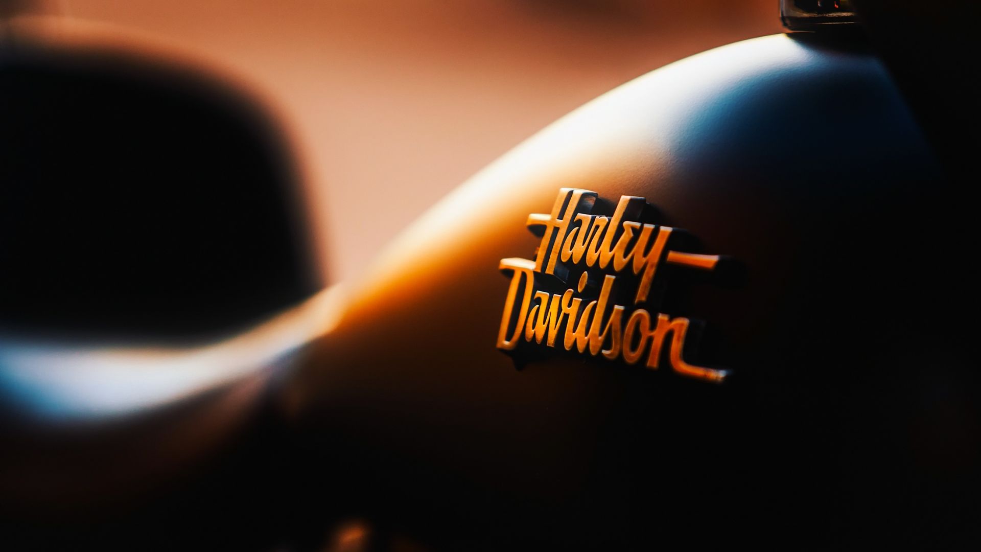 Wallpaper Harley davidson, motorcycle