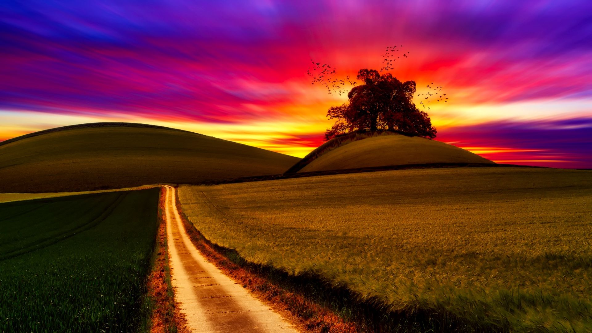 Desktop Wallpaper Sunset, Colorful Sky, Tree, Landscape, Nature, Hd Image,  Picture, Background, 7qppsy