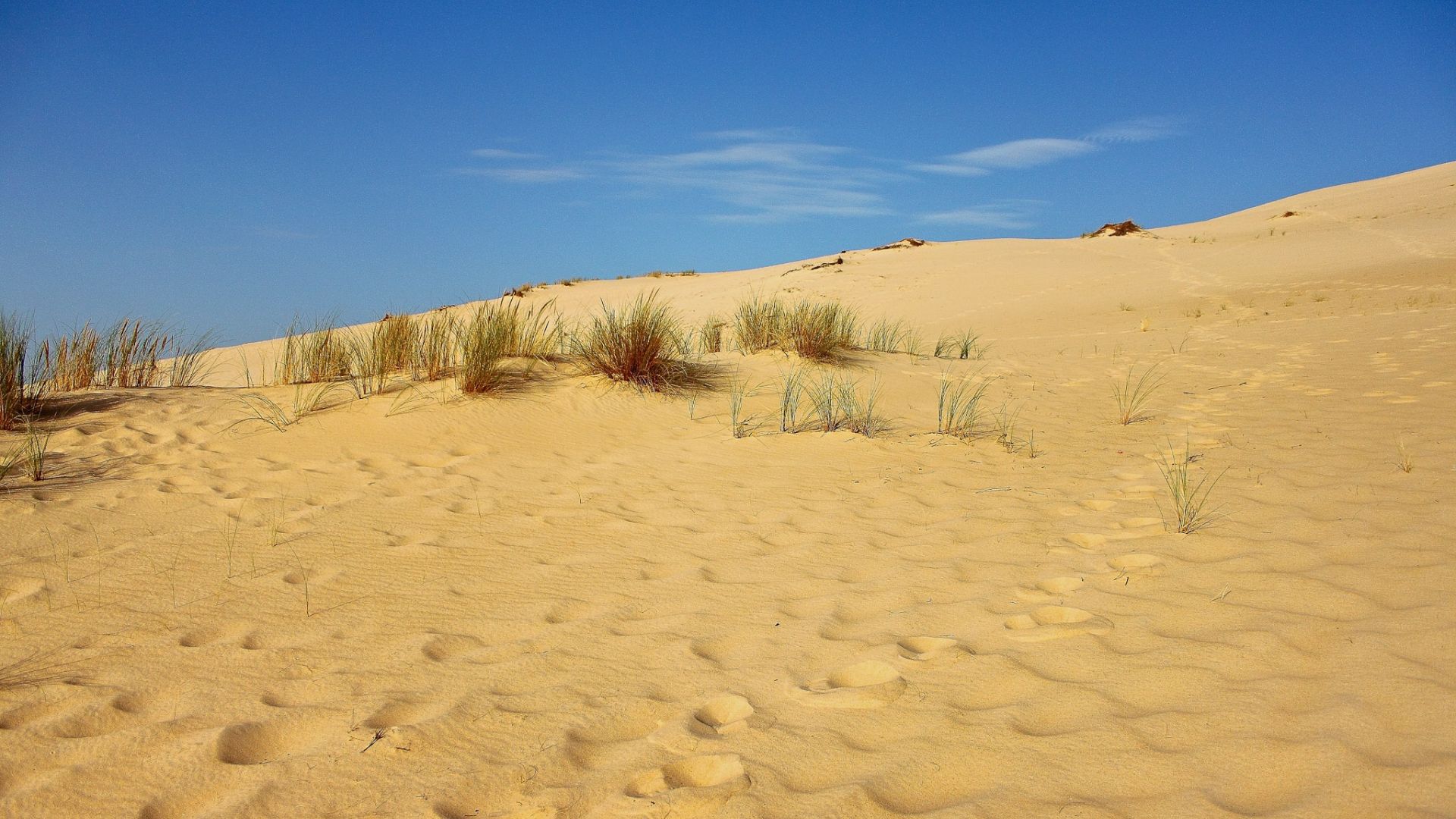 Wallpaper Sand dunes, landscape
