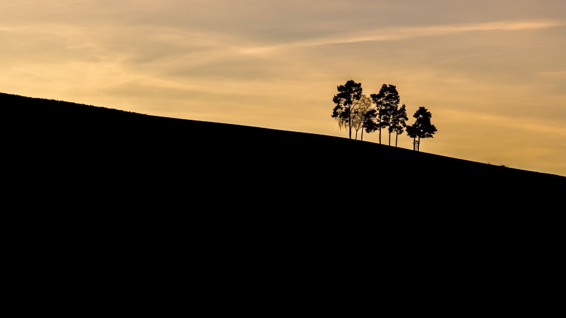 Wallpaper Trees, sunset, hill, landscape