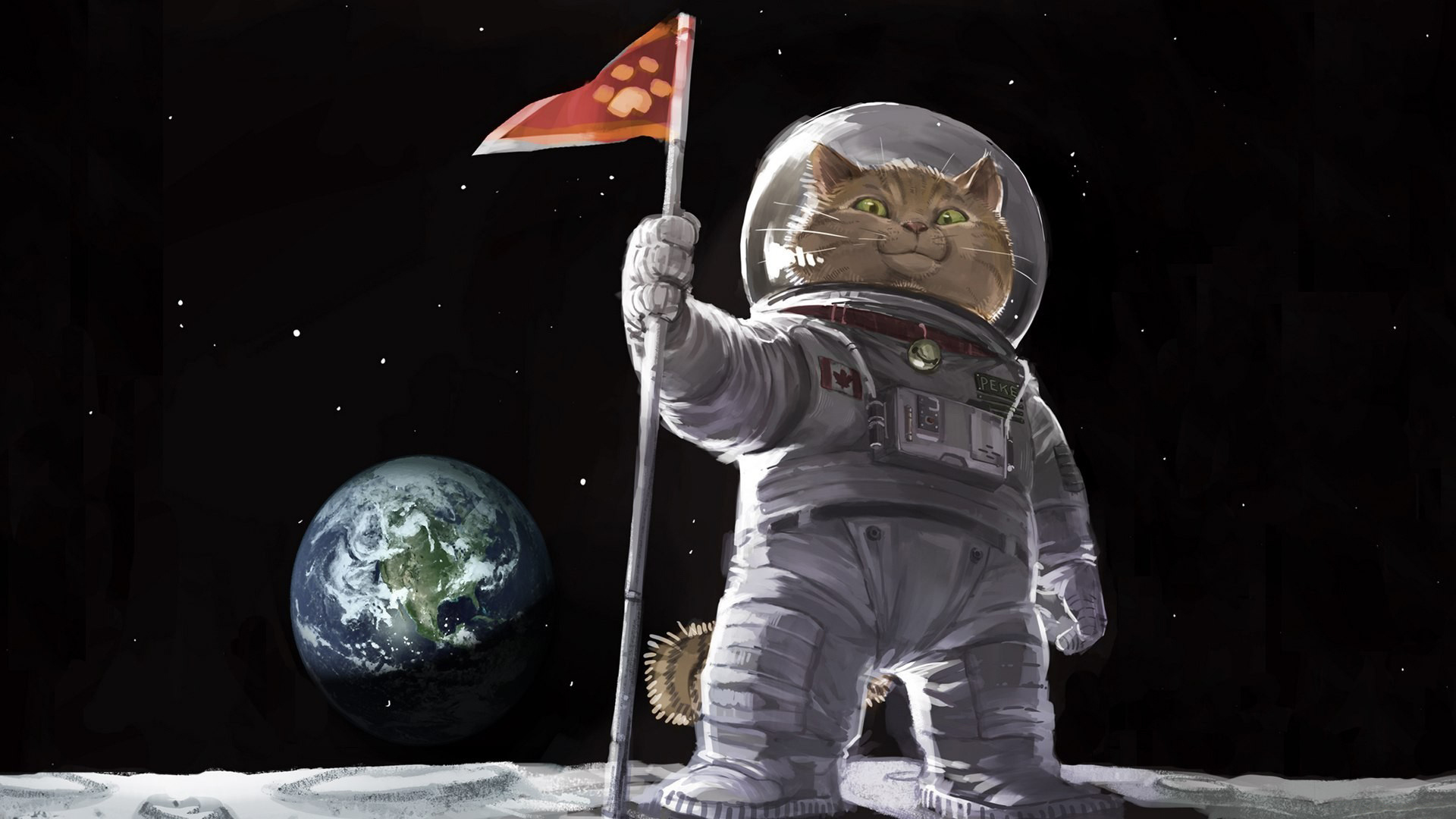 Wallpaper Cat, planet, earth, moon, humor