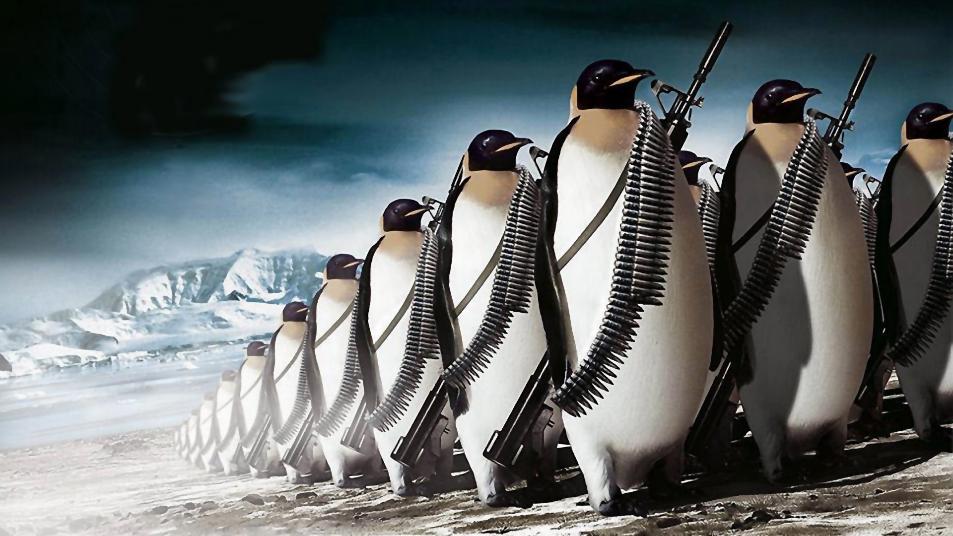 Wallpaper Penguins army humor