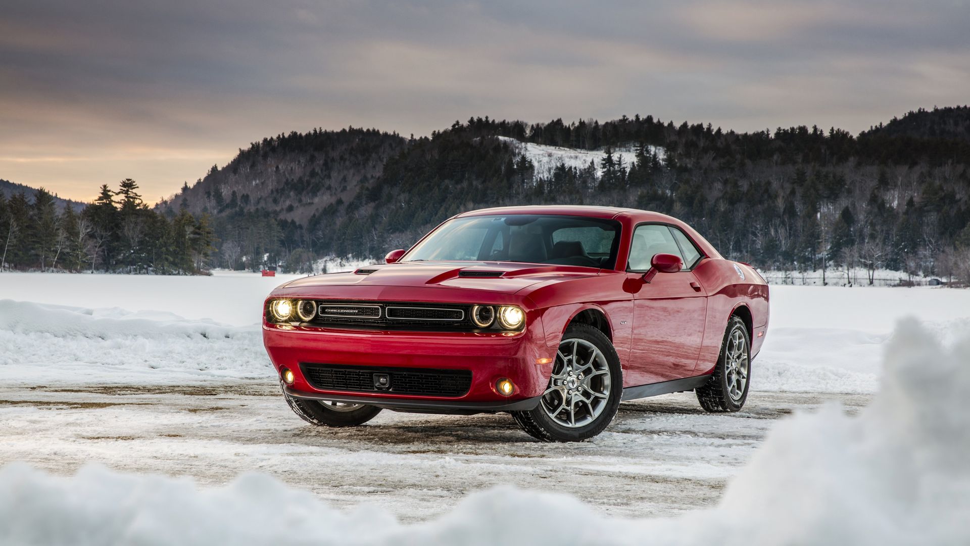 Wallpaper Dodge Challenger SRT, red muscle car, front view