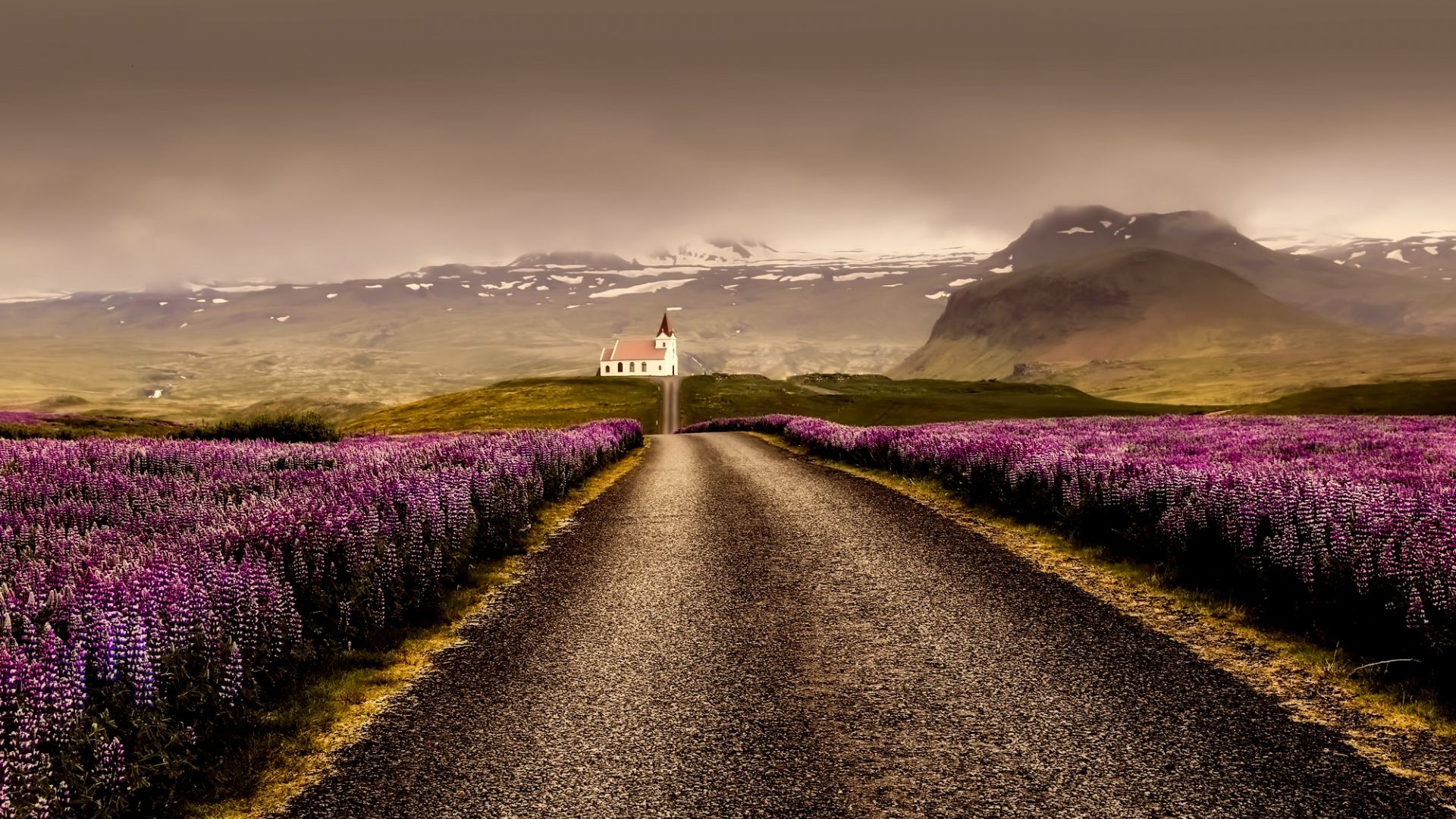 Wallpaper Iceland, lavender farm, road, skyline, landscape