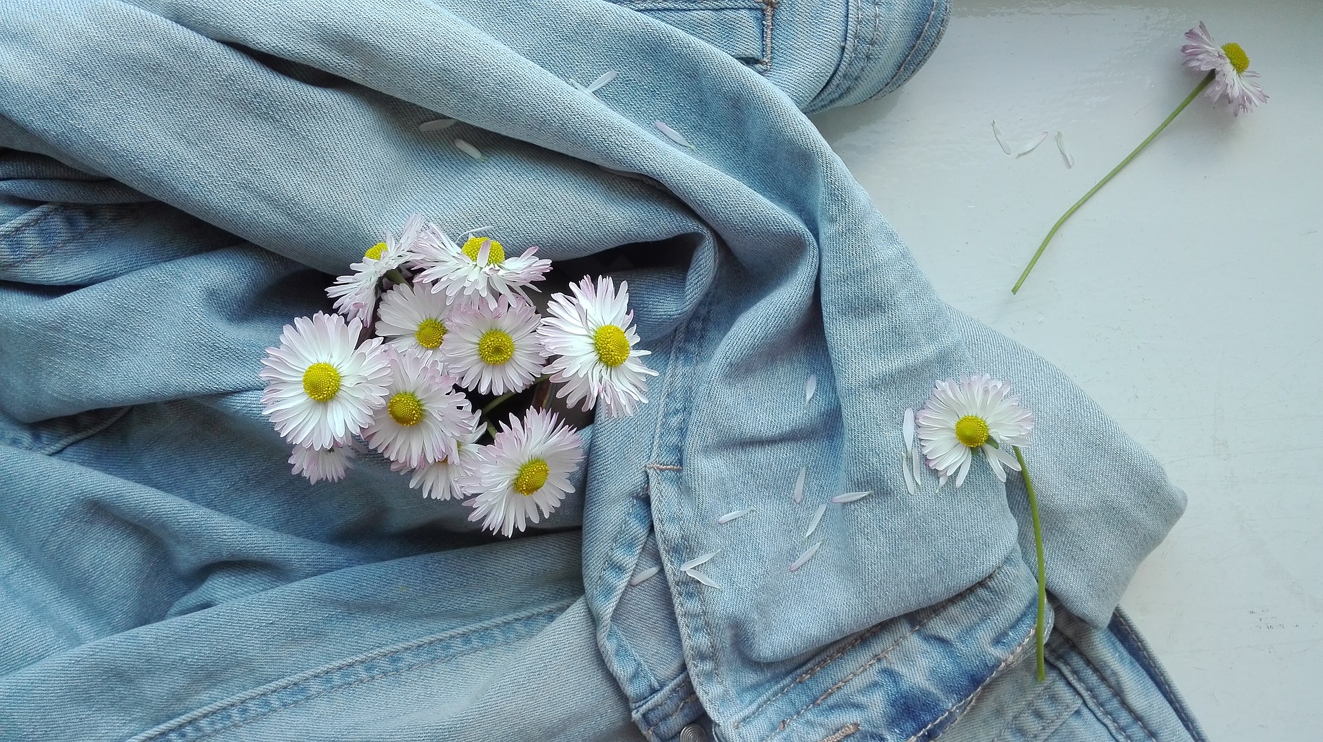 Wallpaper Summer, jeans, wild flowers