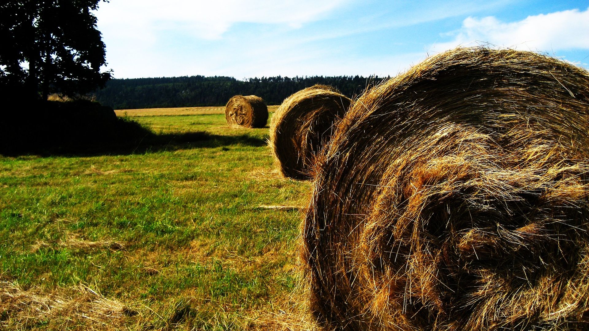 Wallpaper Hay, farm, agriculture, landscape