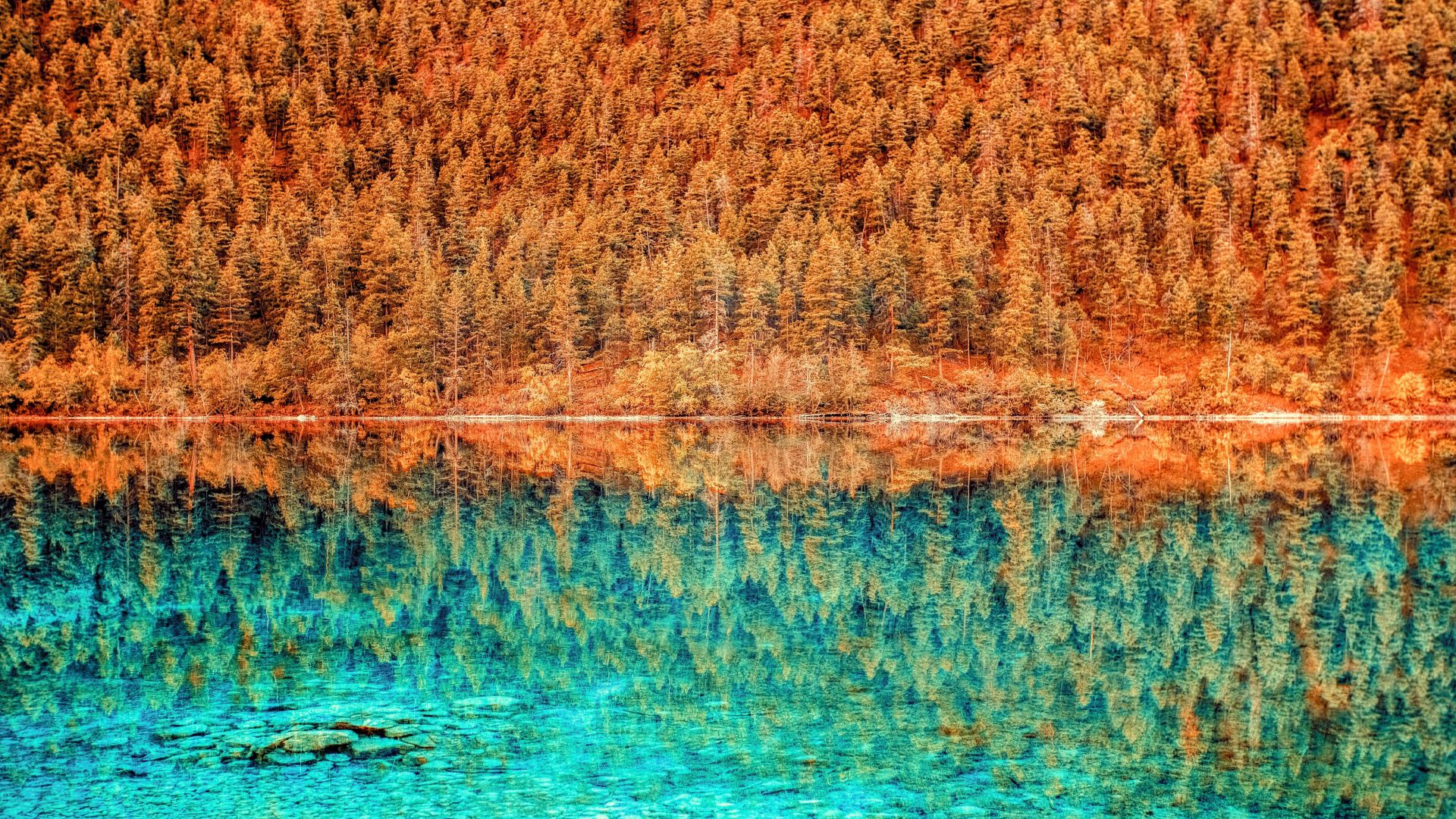 Wallpaper Lake, trees, reflections, nature