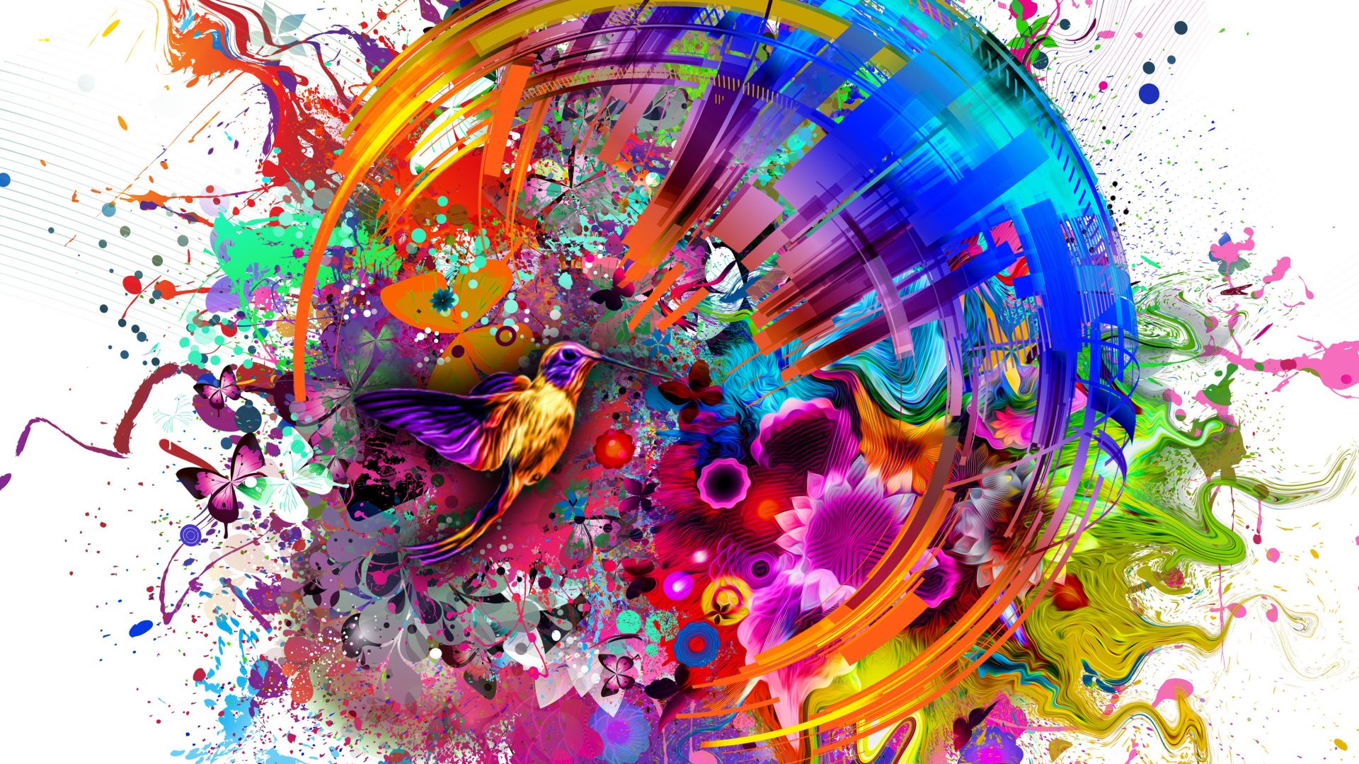 Wallpaper Abstract, colors, flashy bird, digital art, 4k