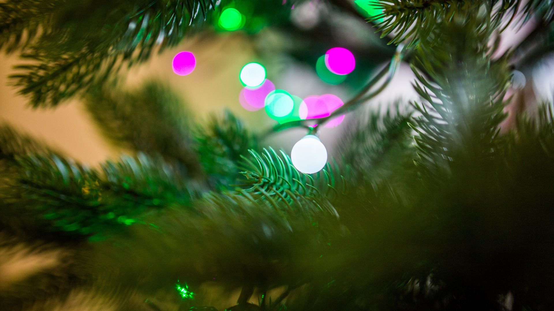 Wallpaper Christmas, decorations, lights, bokeh, leaves, holiday