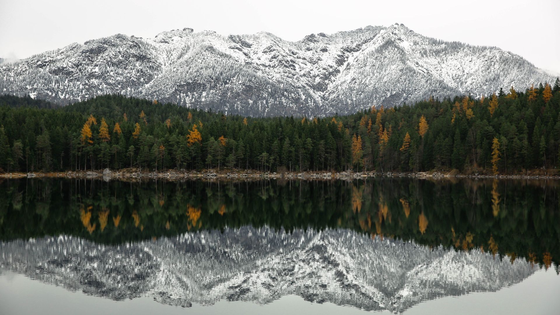 Wallpaper Mountains, reflections, tree, 5k