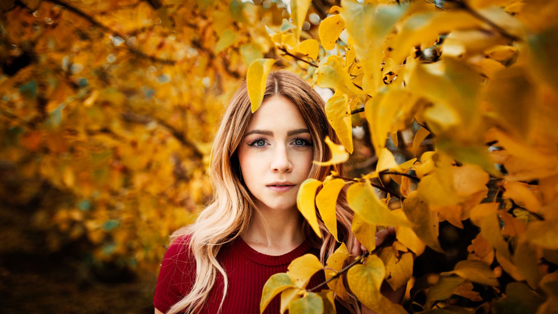 Wallpaper Autumn, girl's face, model, leaves