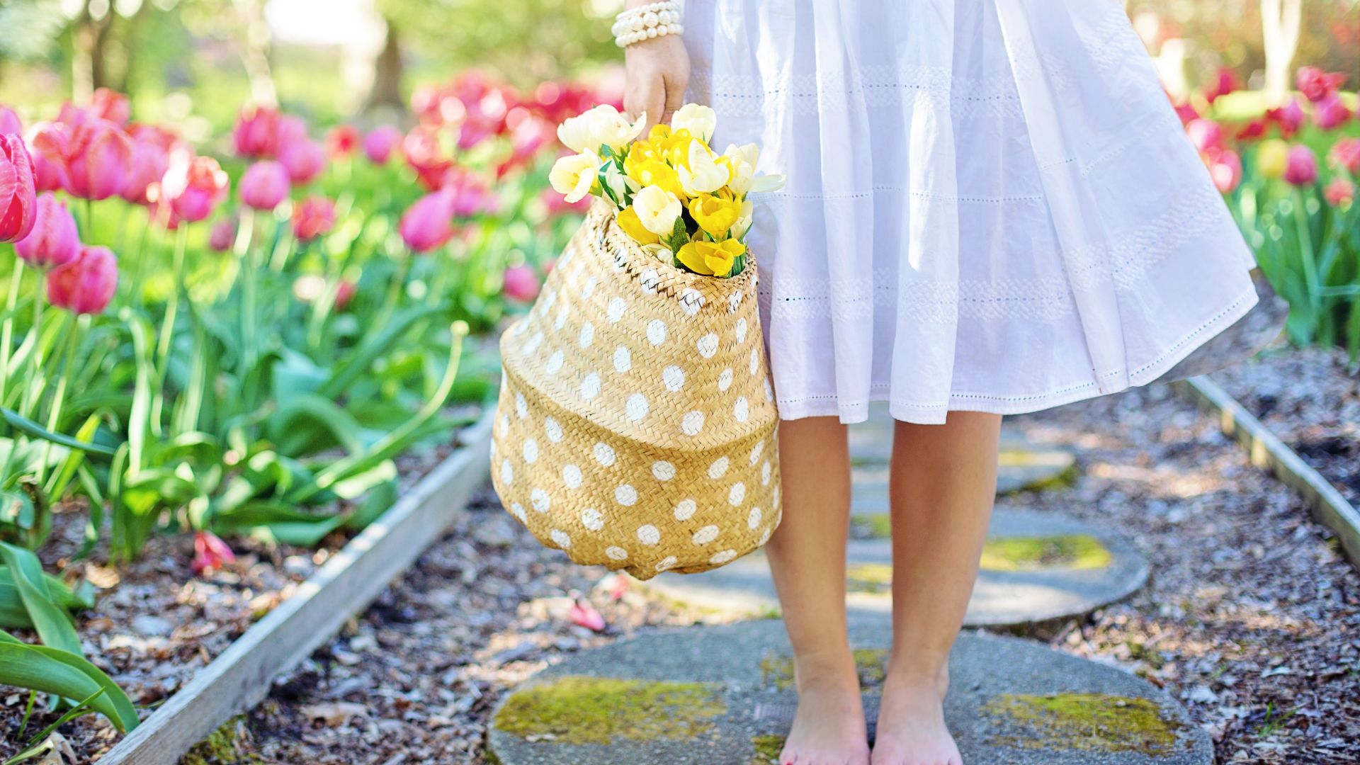 Wallpaper Basket, tulip, flowers, girl, legs