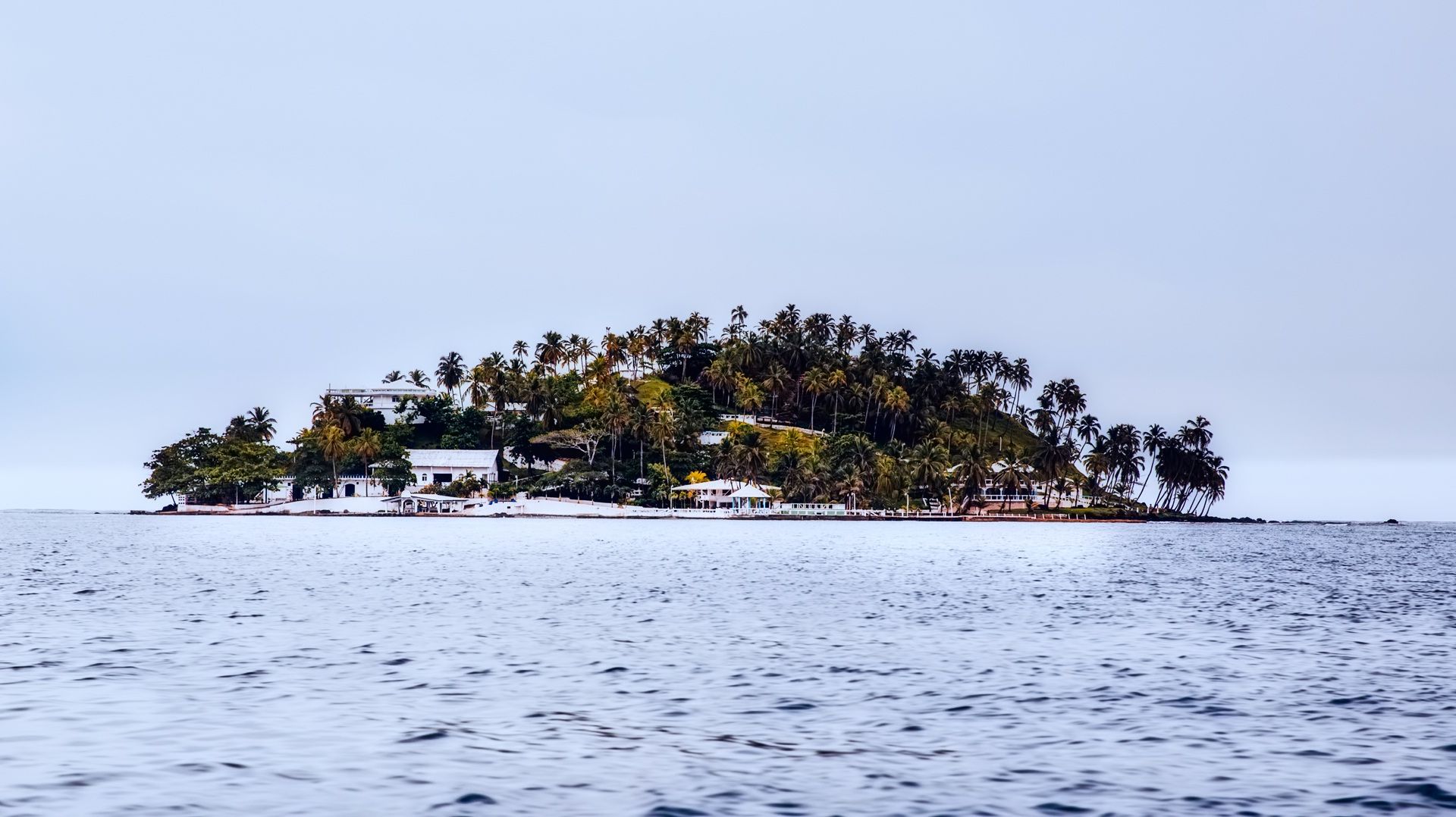 Wallpaper Island, panama sea, palm trees