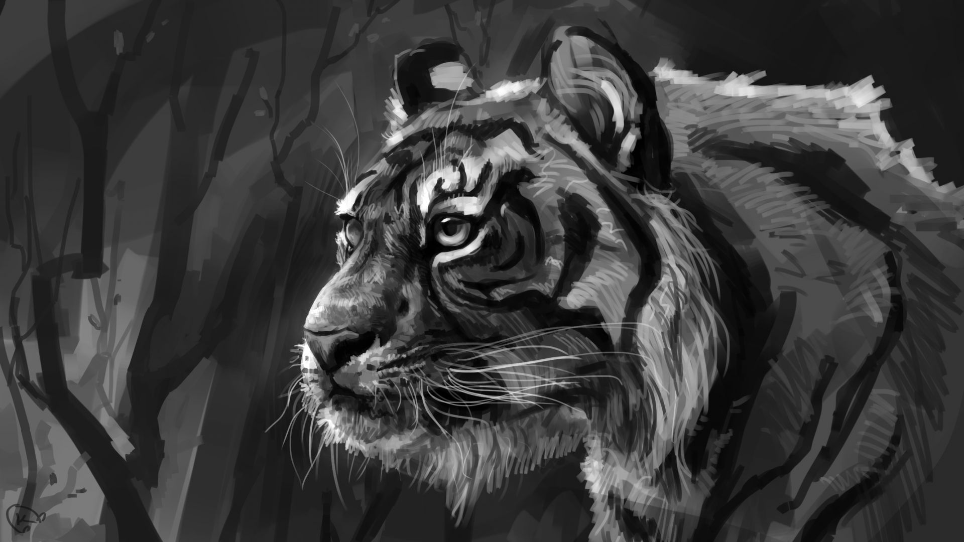 Wallpaper Tiger, predator, muzzle, dark, art