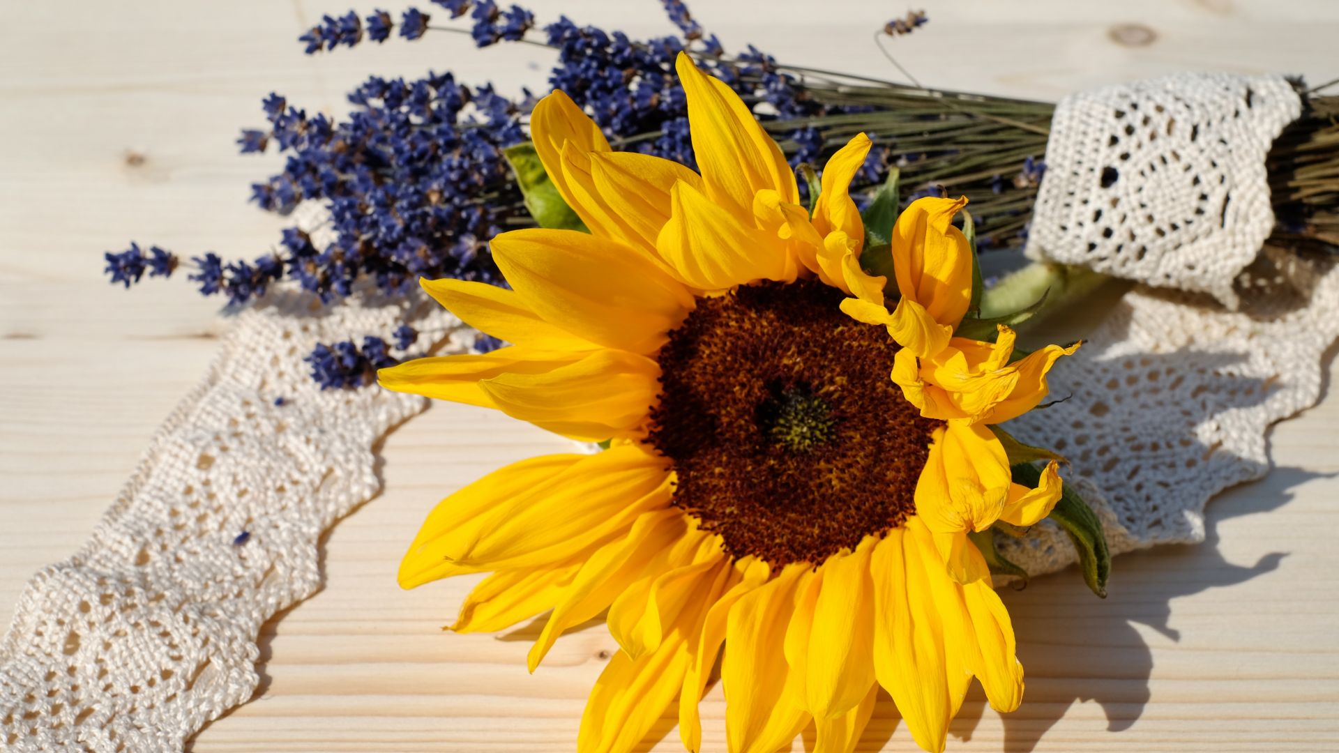 Wallpaper Lavender, sunflower, flowers