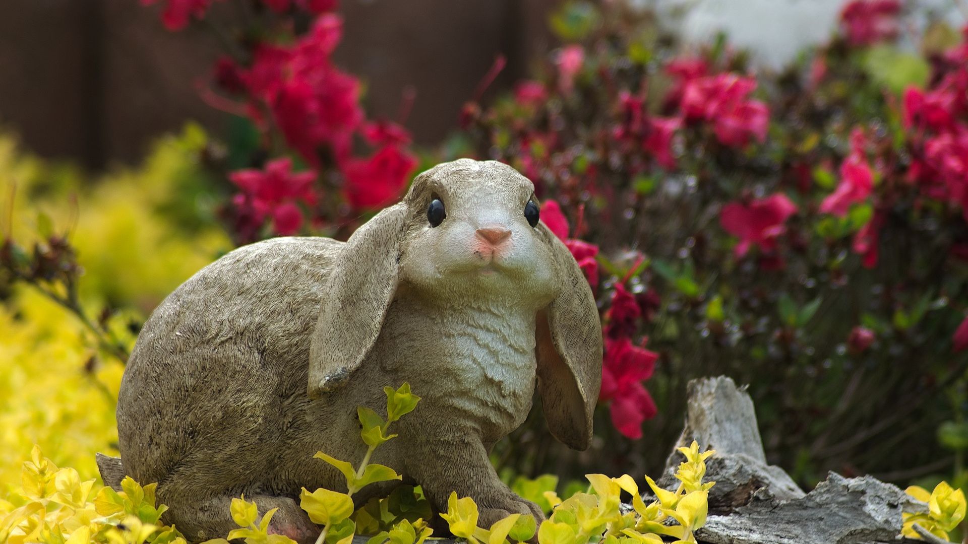 Wallpaper Hare, rabbit, decoration, toy