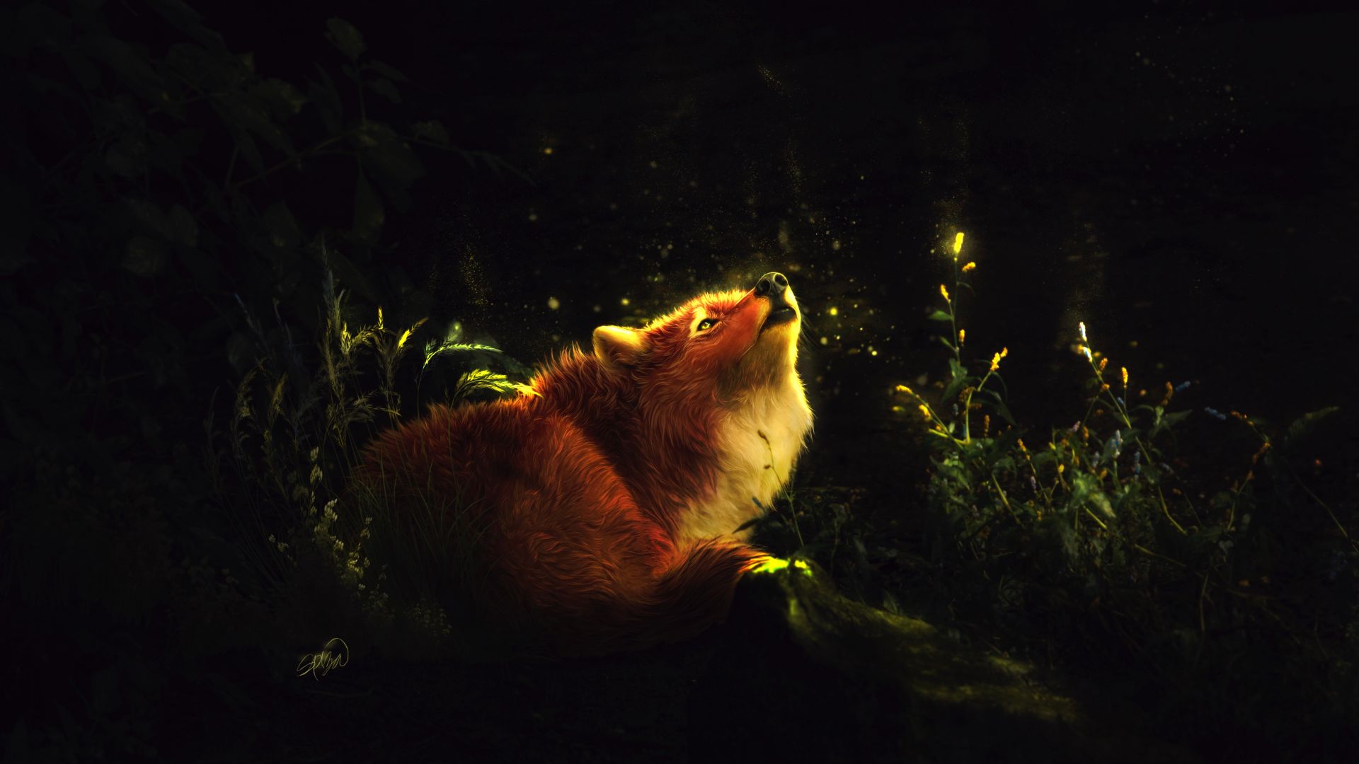 Wallpaper Red fox, animal, night, art