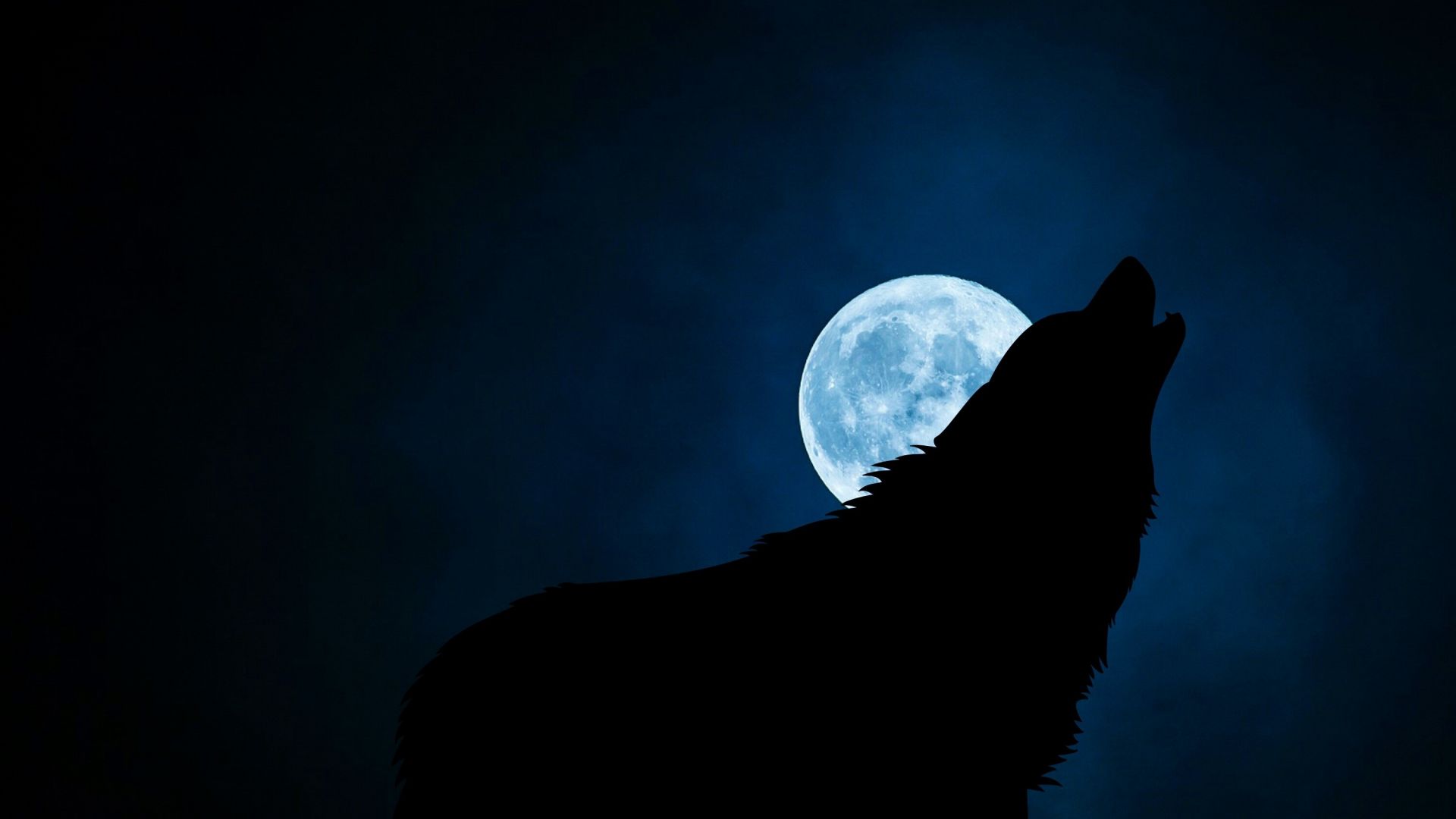 Wallpaper Wolf, moon, night, 4k
