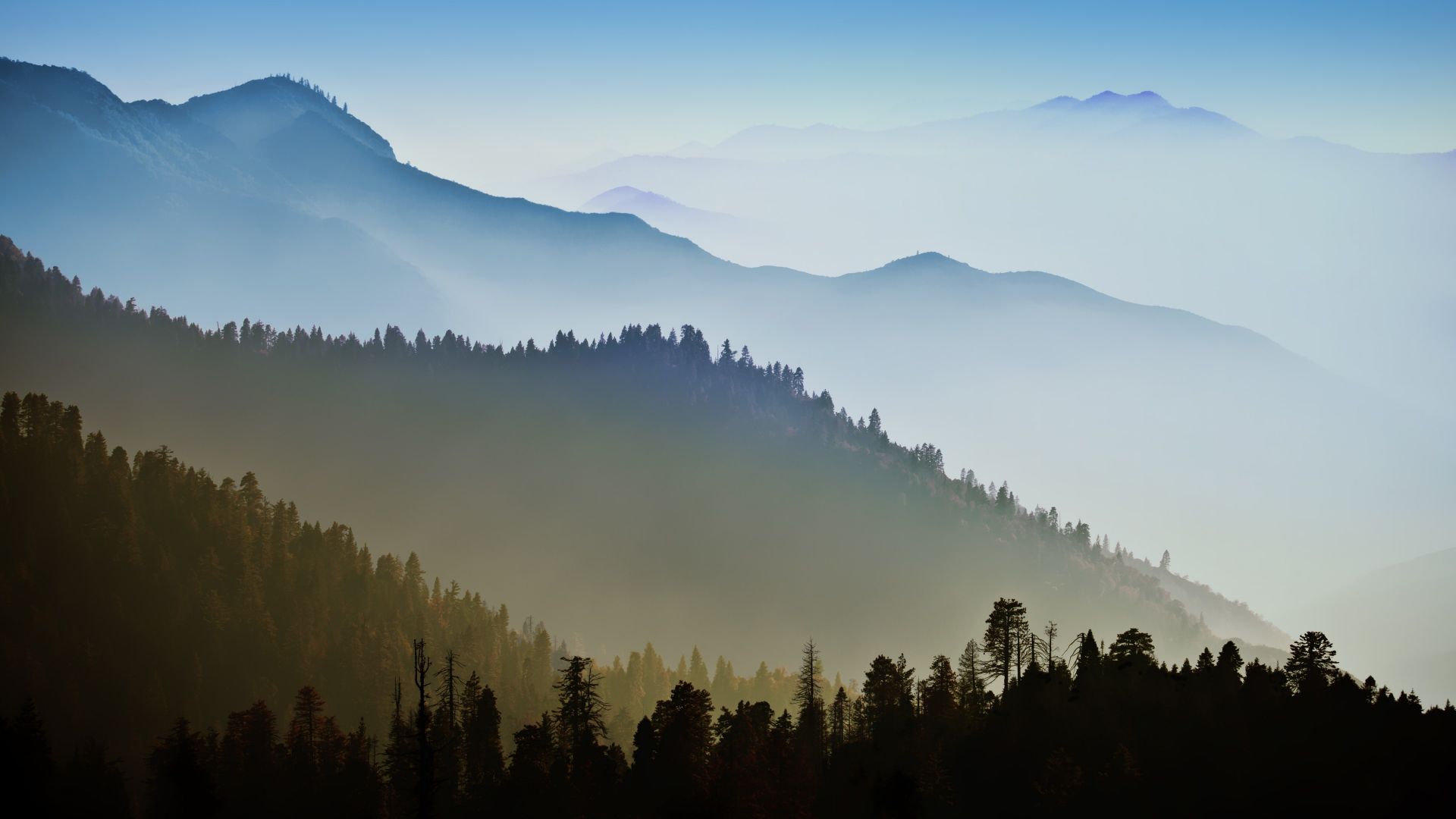 Wallpaper Nature, landscape, mist