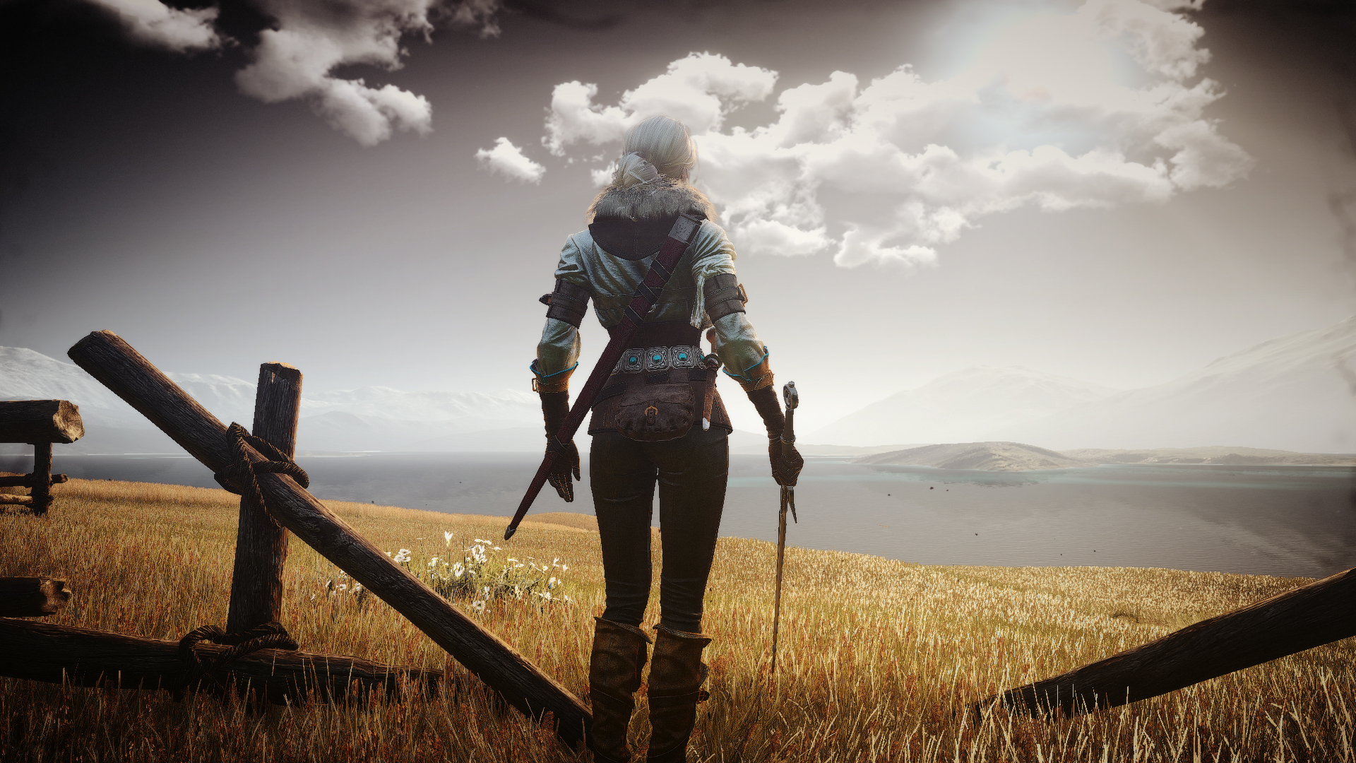 Wallpaper Ciri, landscape, the wicther, video game