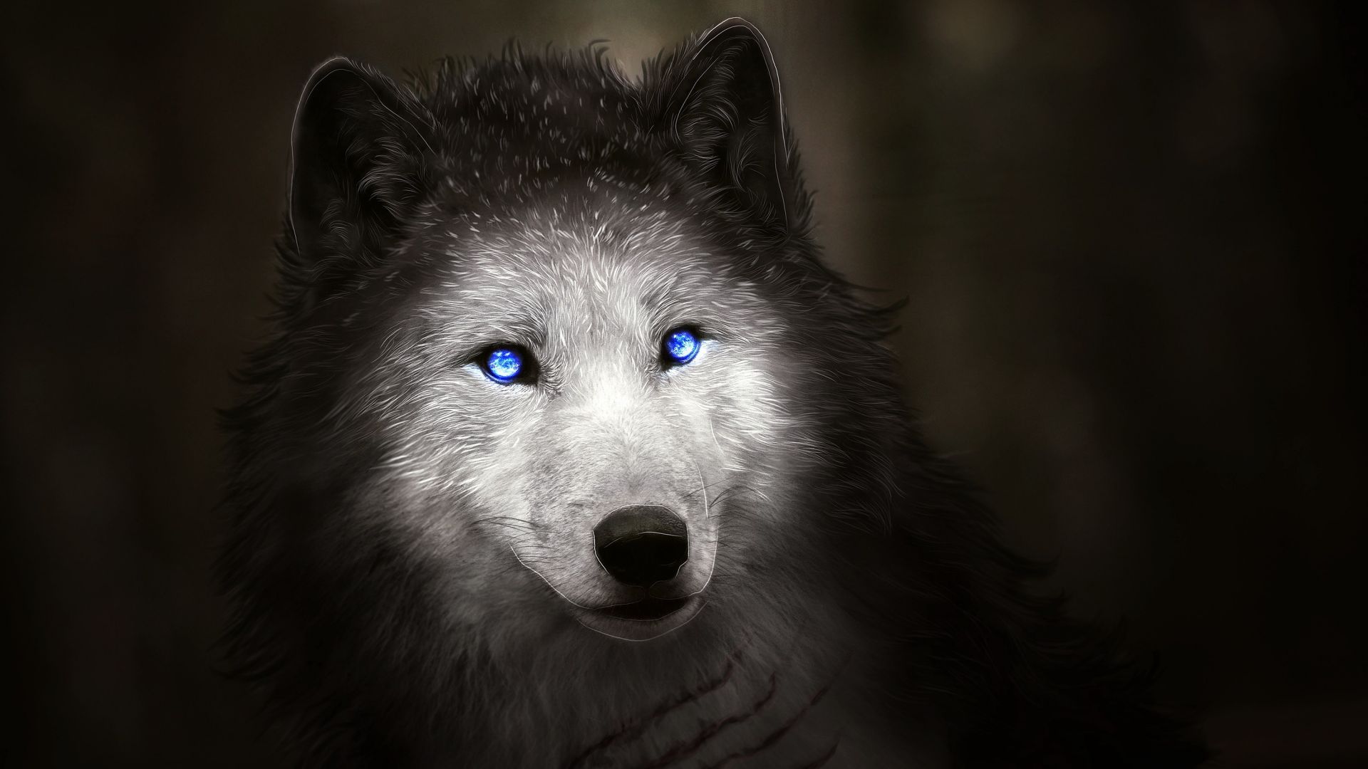 Wallpaper Blue eyes, wolf muzzle, art