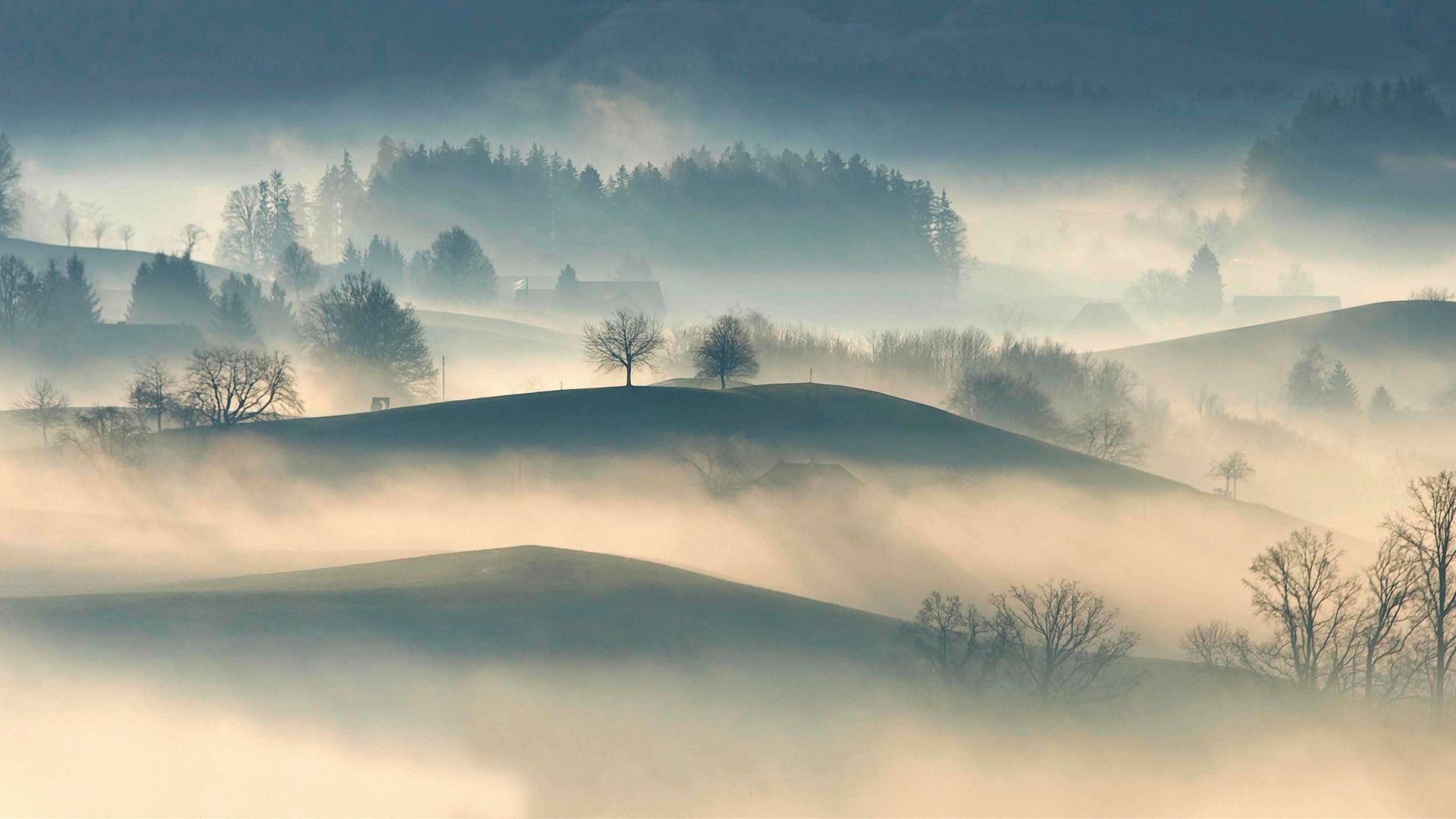 Wallpaper Mist, fog, dawn, landscape, nature, horizon