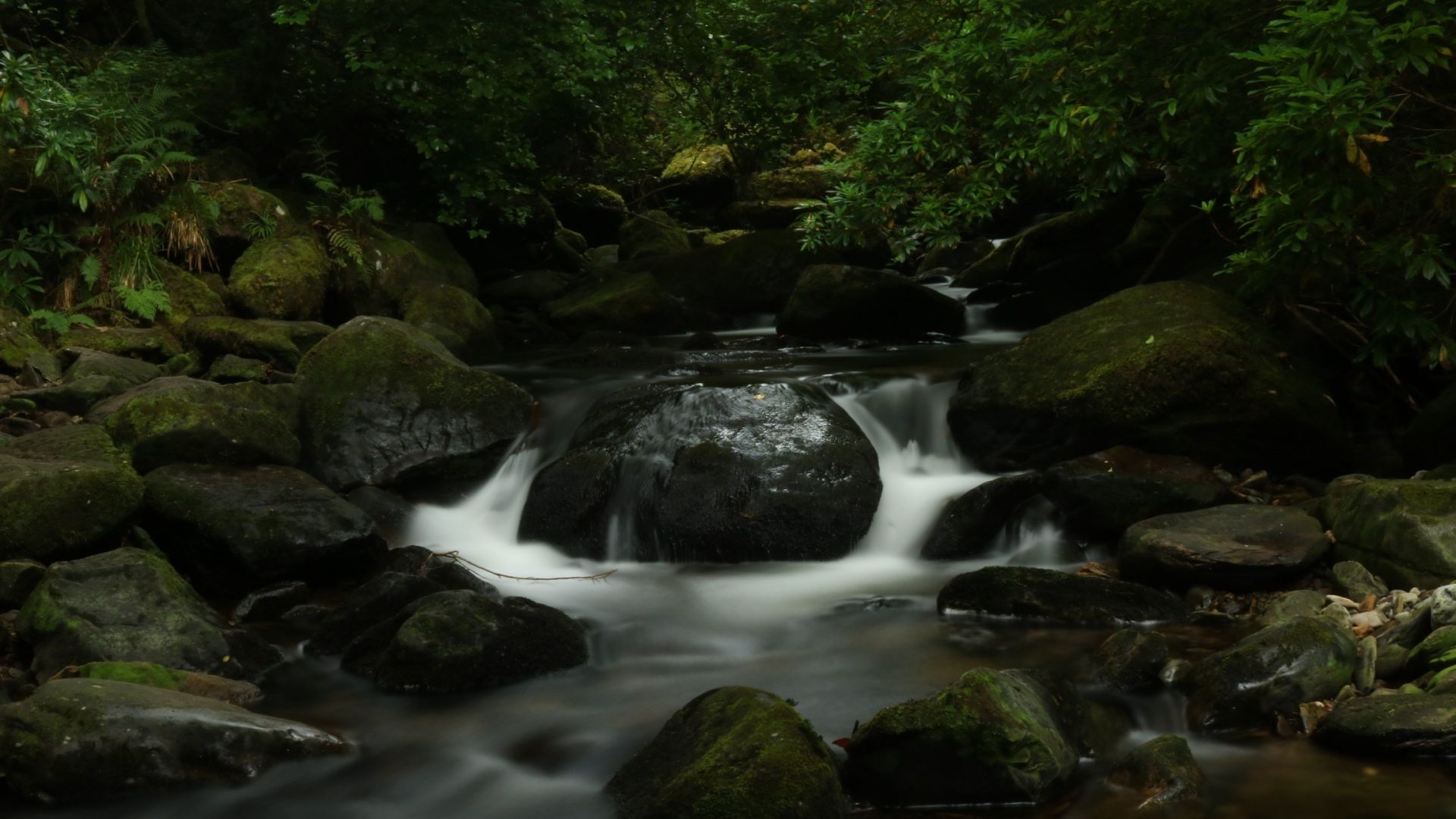 Wallpaper Water running, river, nature, forest, rocks