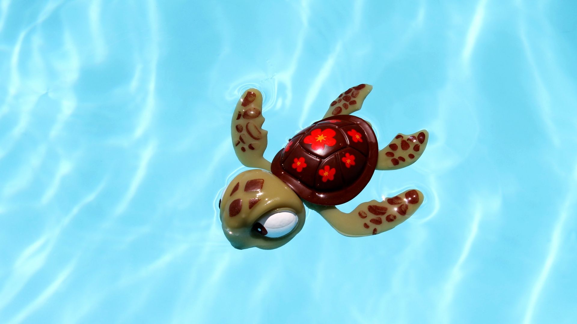 Wallpaper Turtle, pool toys