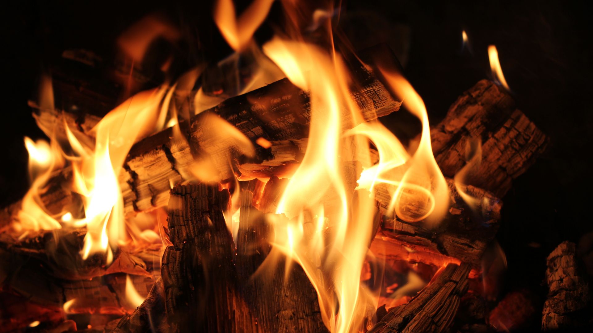 Wallpaper Bonfire fire flame