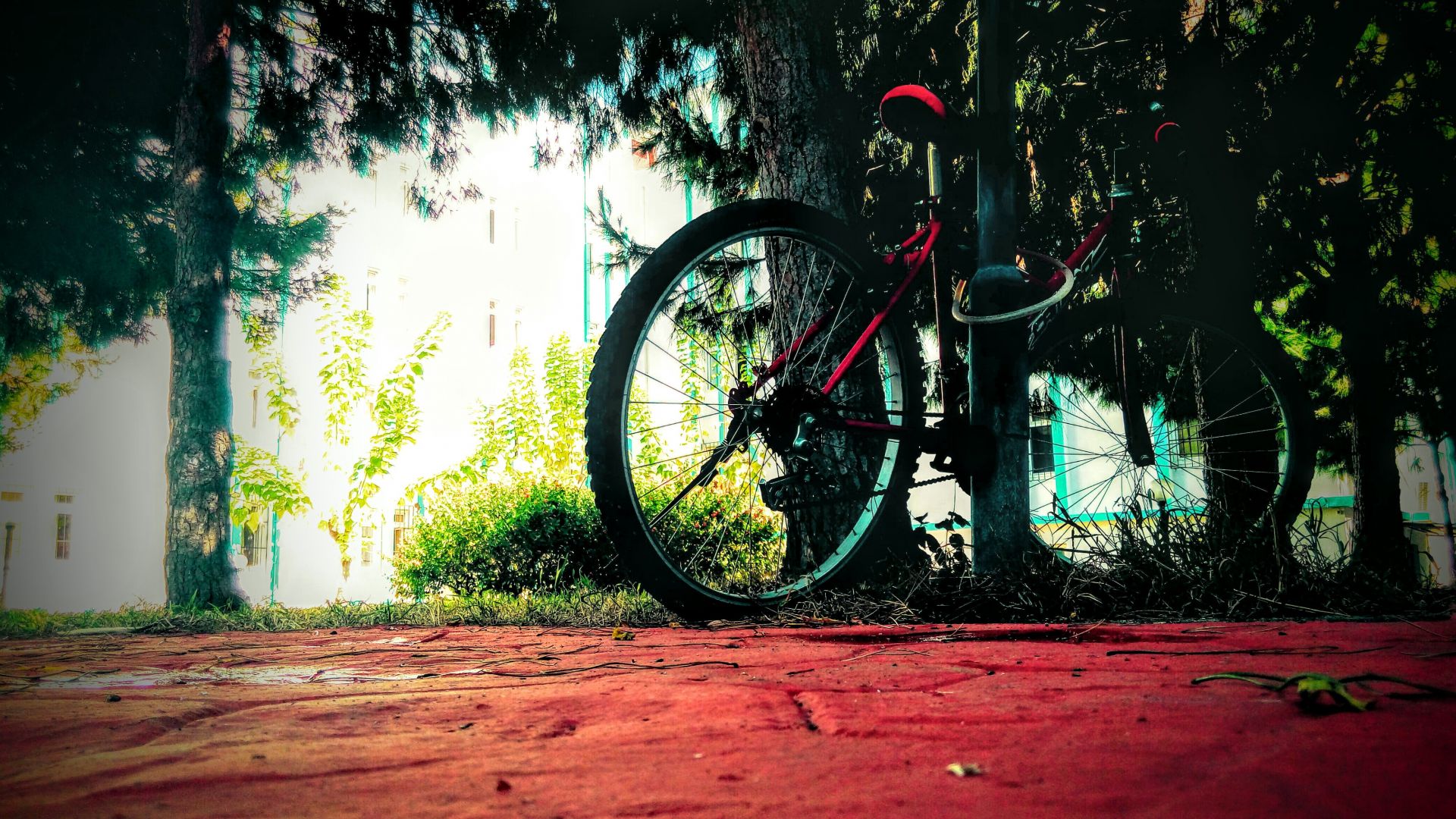 Wallpaper Bicycle