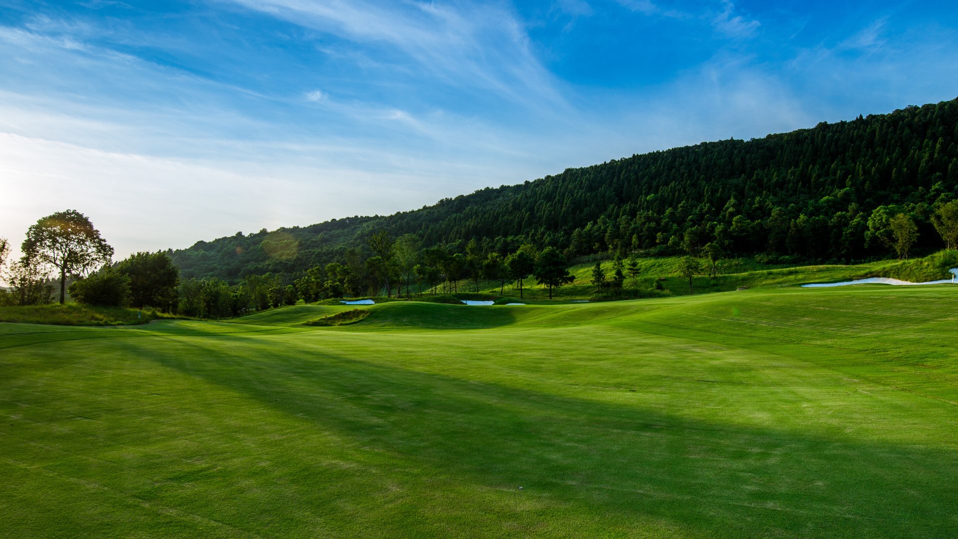 Wallpaper Golf court, sports, landscape