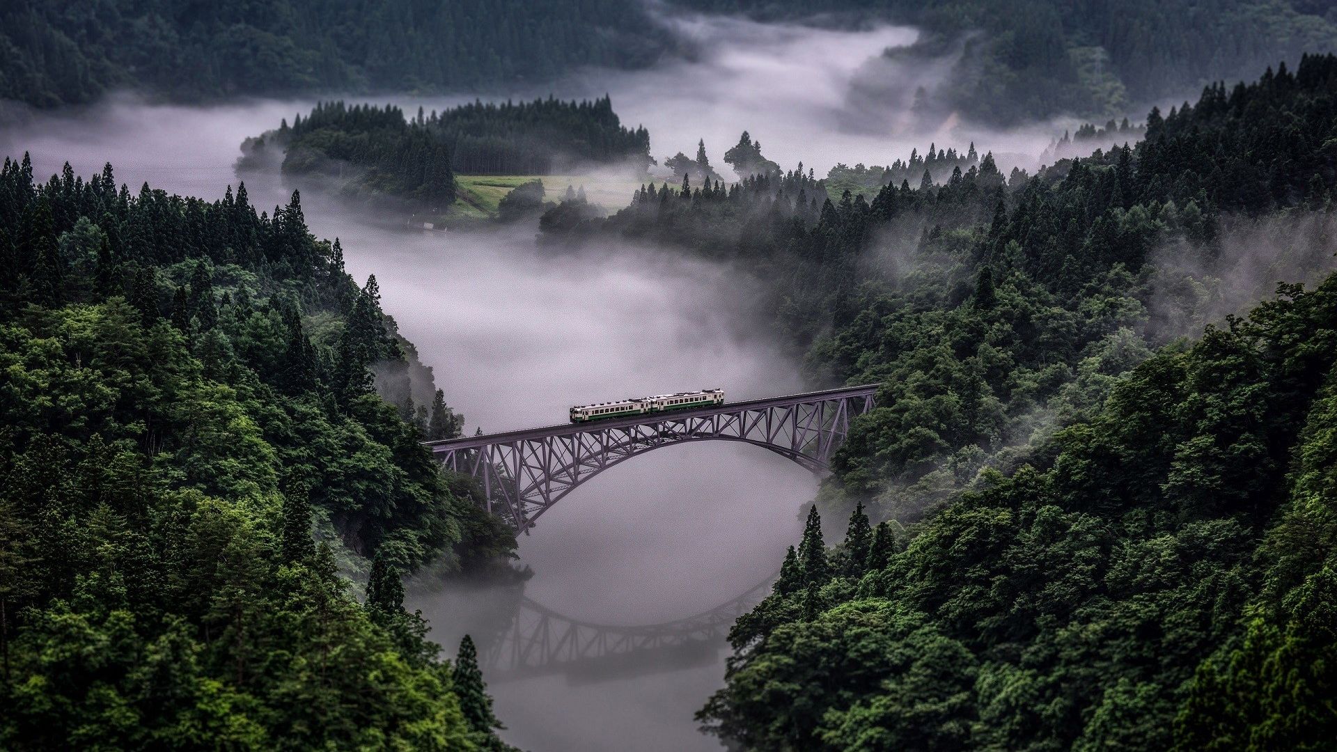Wallpaper Aerial view, bridge, train, fog, trees