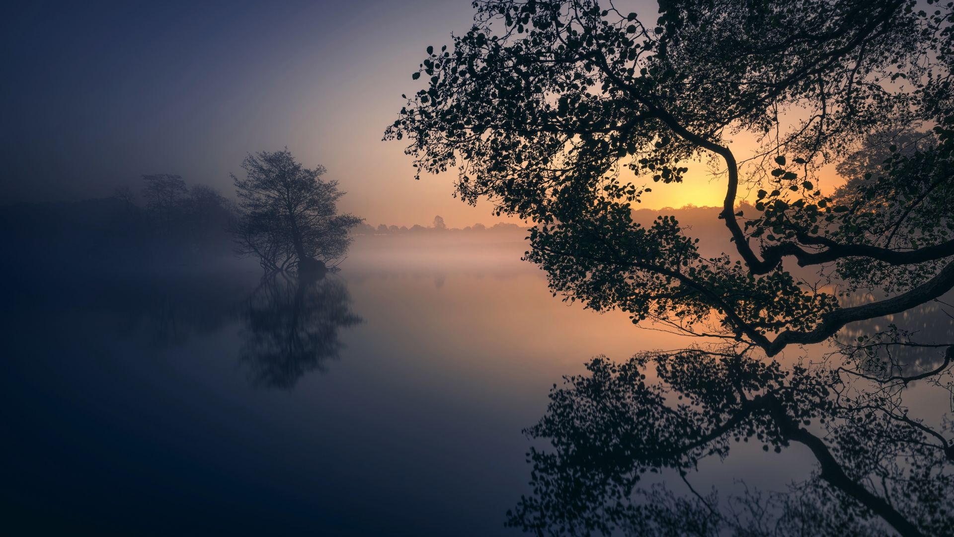 Wallpaper Fog, lake, tree, reflections, 5k