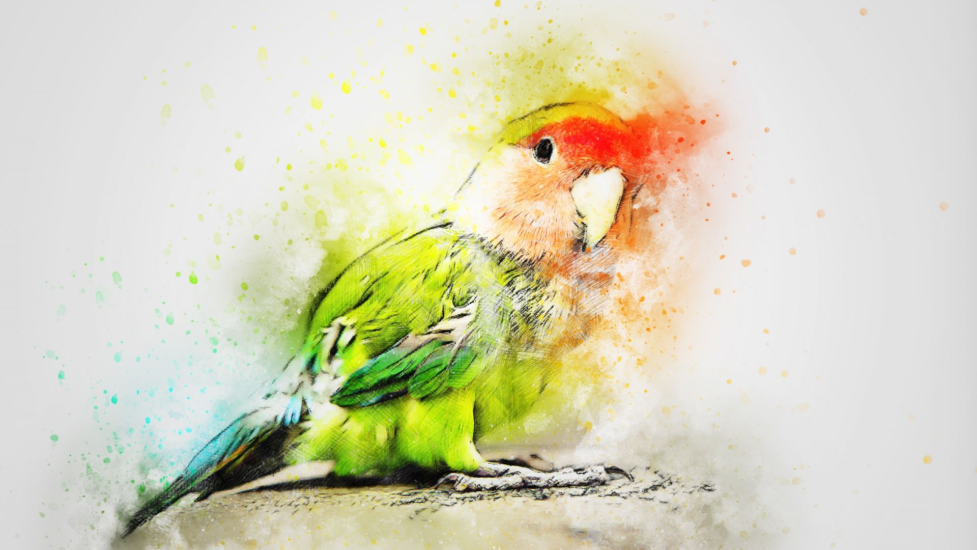 Wallpaper Colorful art, parrot, bird
