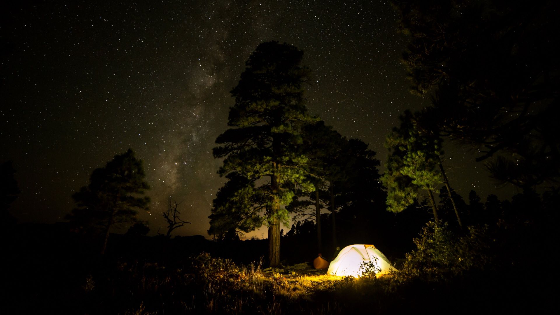 Wallpaper Camping with tent under night sky